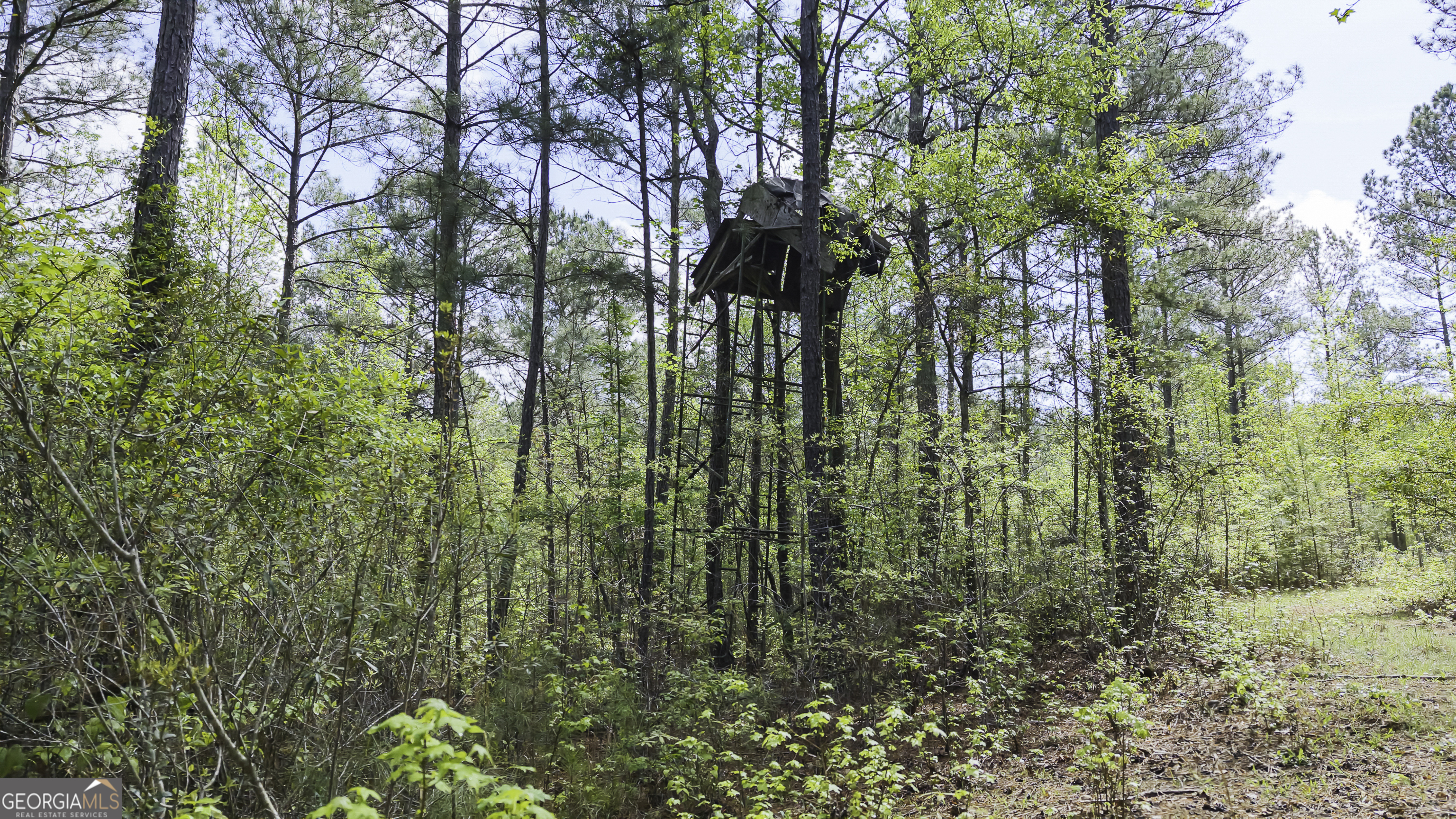 19.74 Acres Davis Lake Road Pine Mountain GA 31822