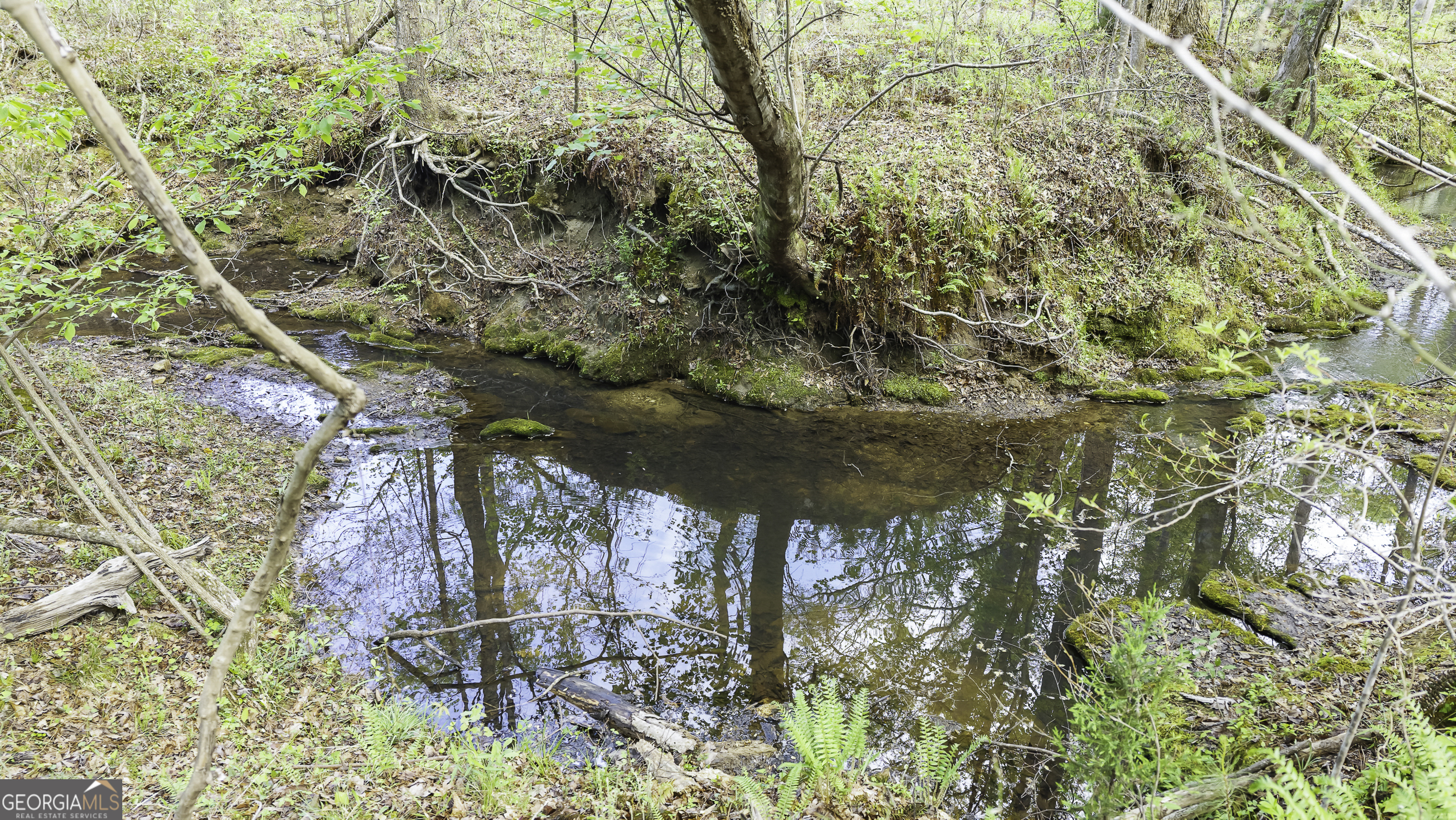 19.74 Acres Davis Lake Road Pine Mountain GA 31822
