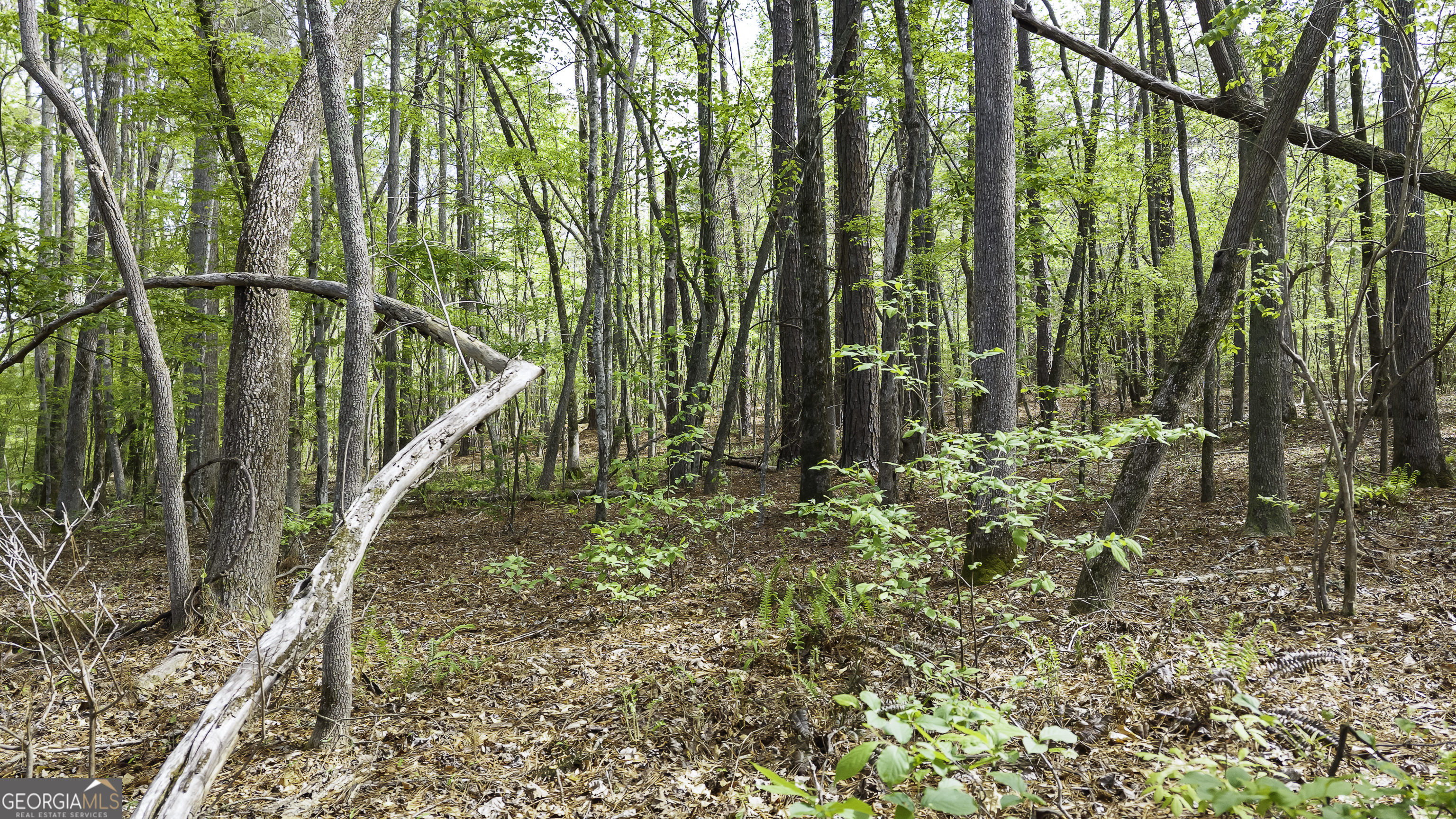 19.74 Acres Davis Lake Road Pine Mountain GA 31822