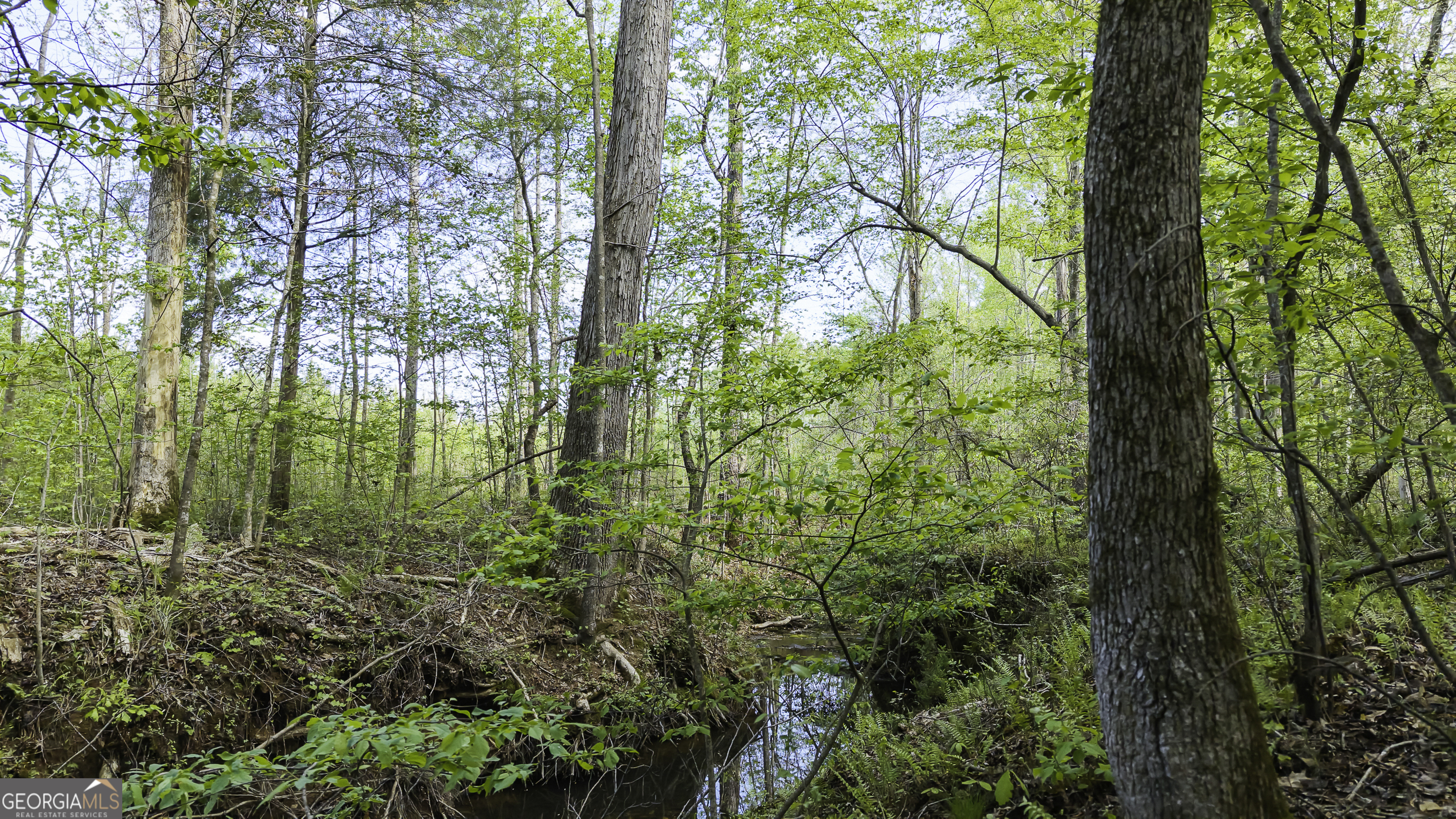19.74 Acres Davis Lake Road Pine Mountain GA 31822