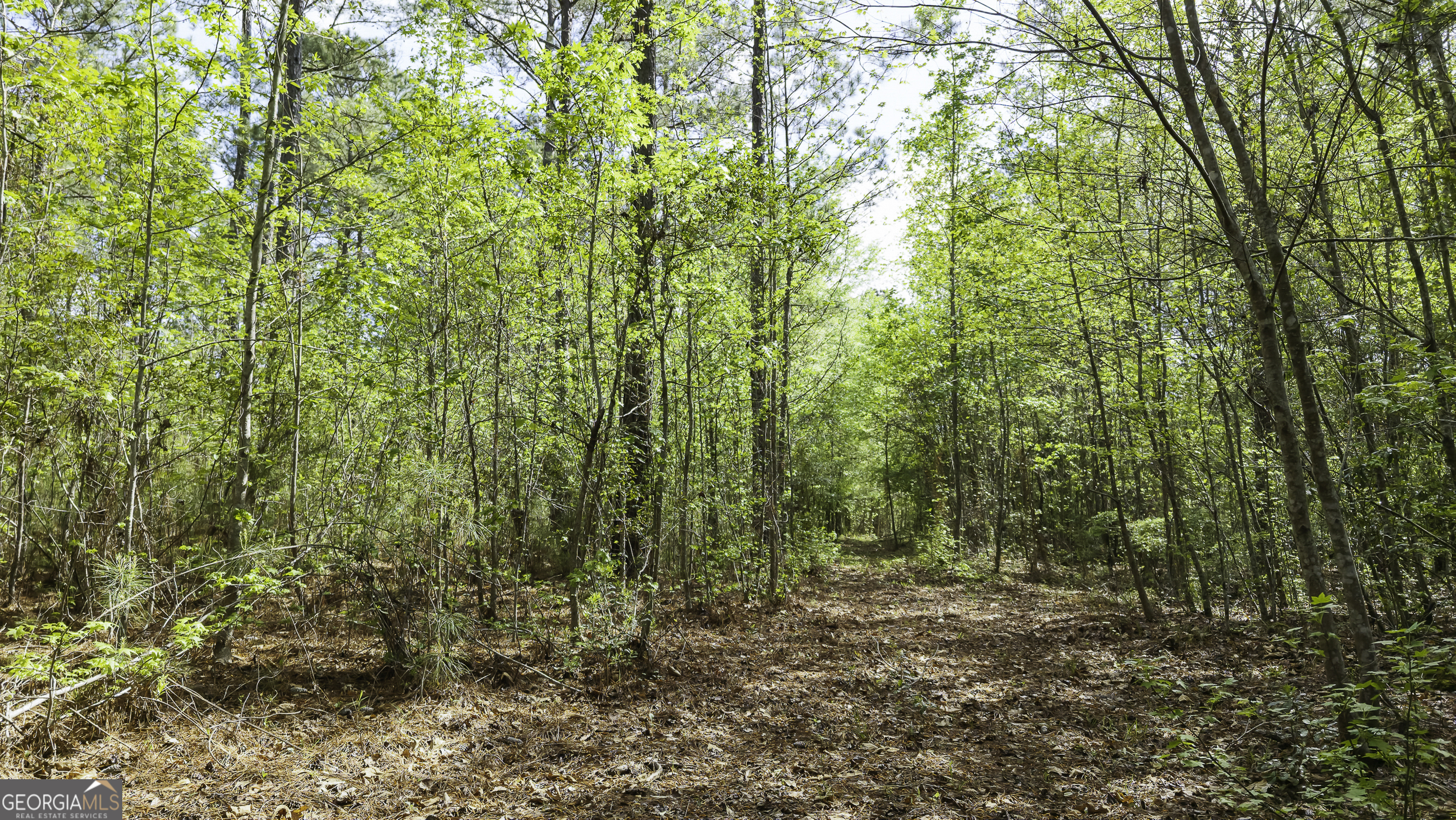 19.74 Acres Davis Lake Road Pine Mountain GA 31822