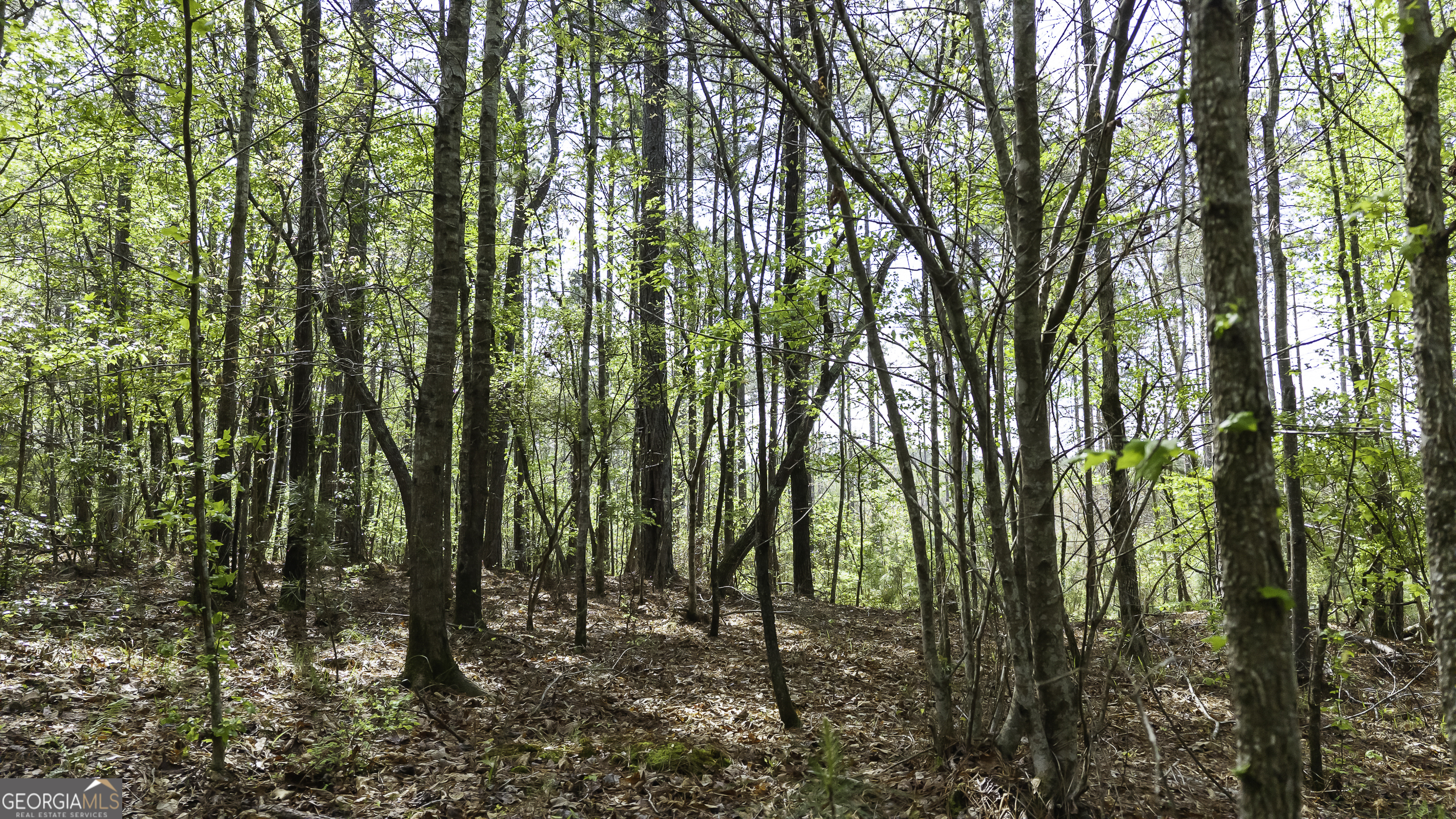 19.74 Acres Davis Lake Road Pine Mountain GA 31822