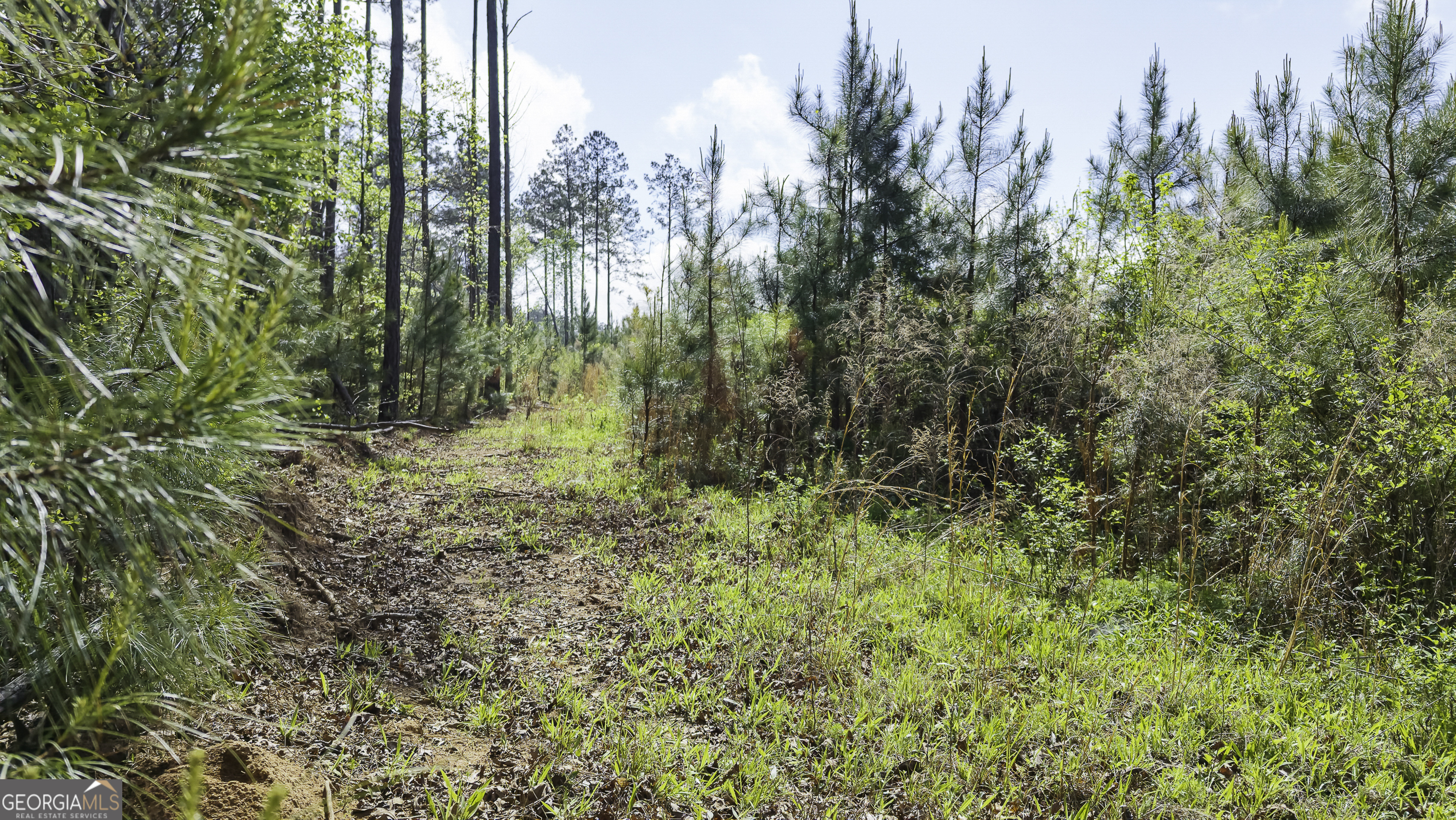 19.74 Acres Davis Lake Road Pine Mountain GA 31822