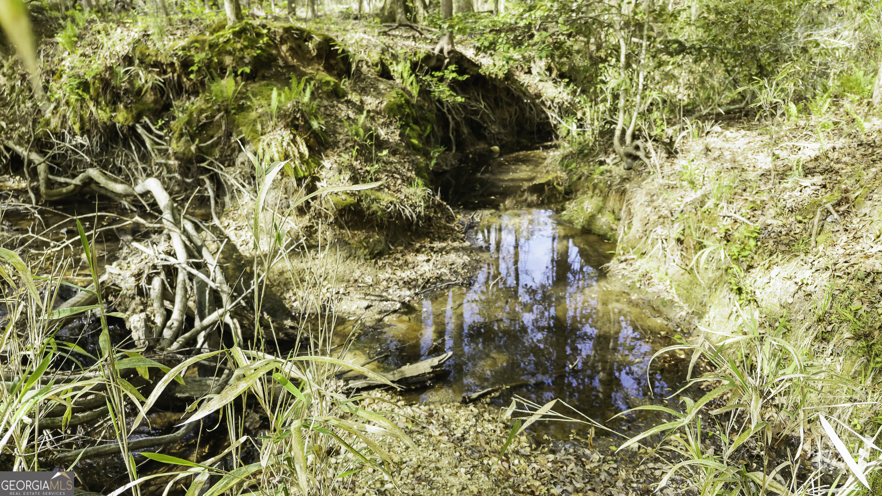 19.74 Acres Davis Lake Road Pine Mountain GA 31822