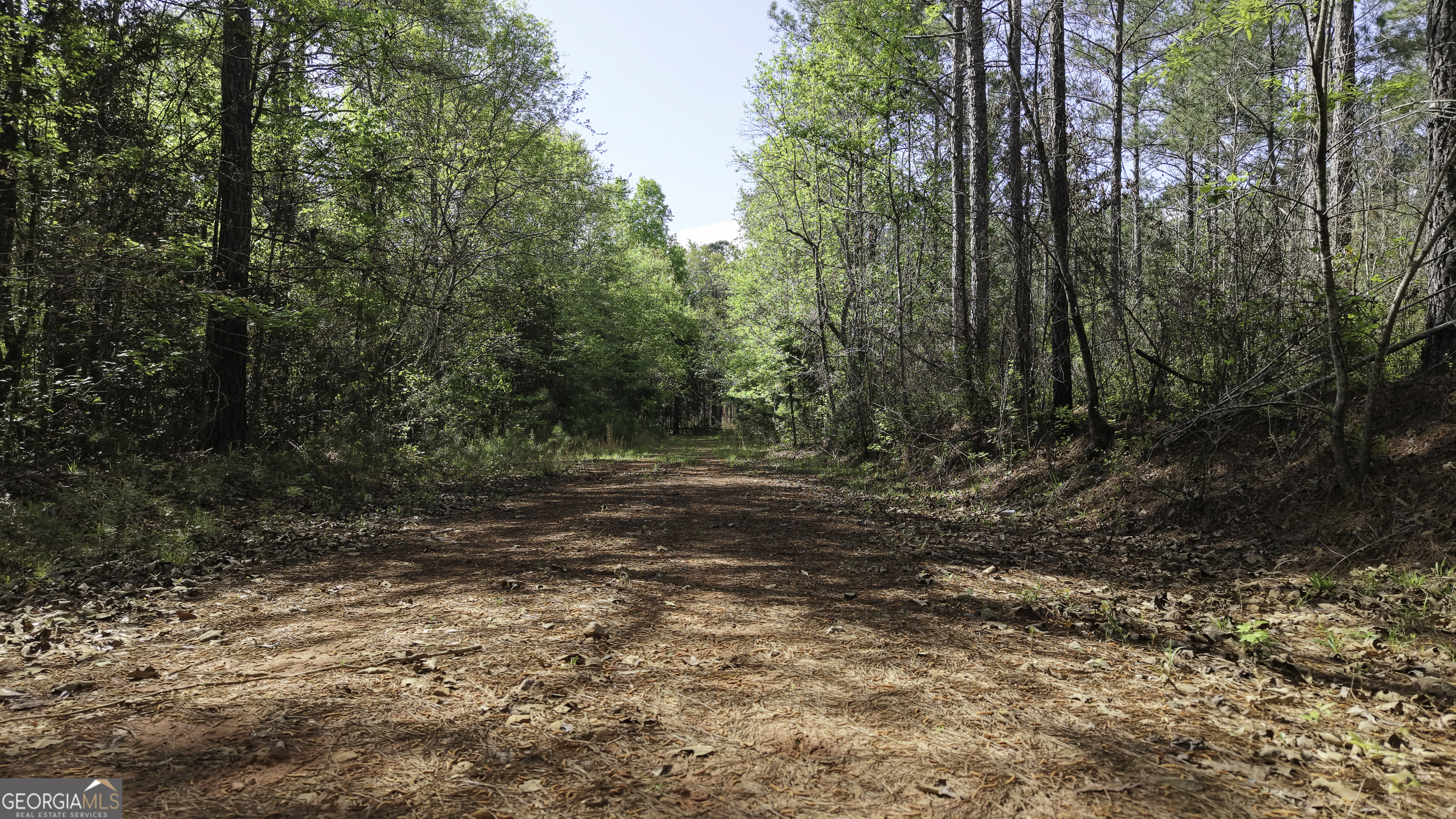 19.74 Acres Davis Lake Road Pine Mountain GA 31822