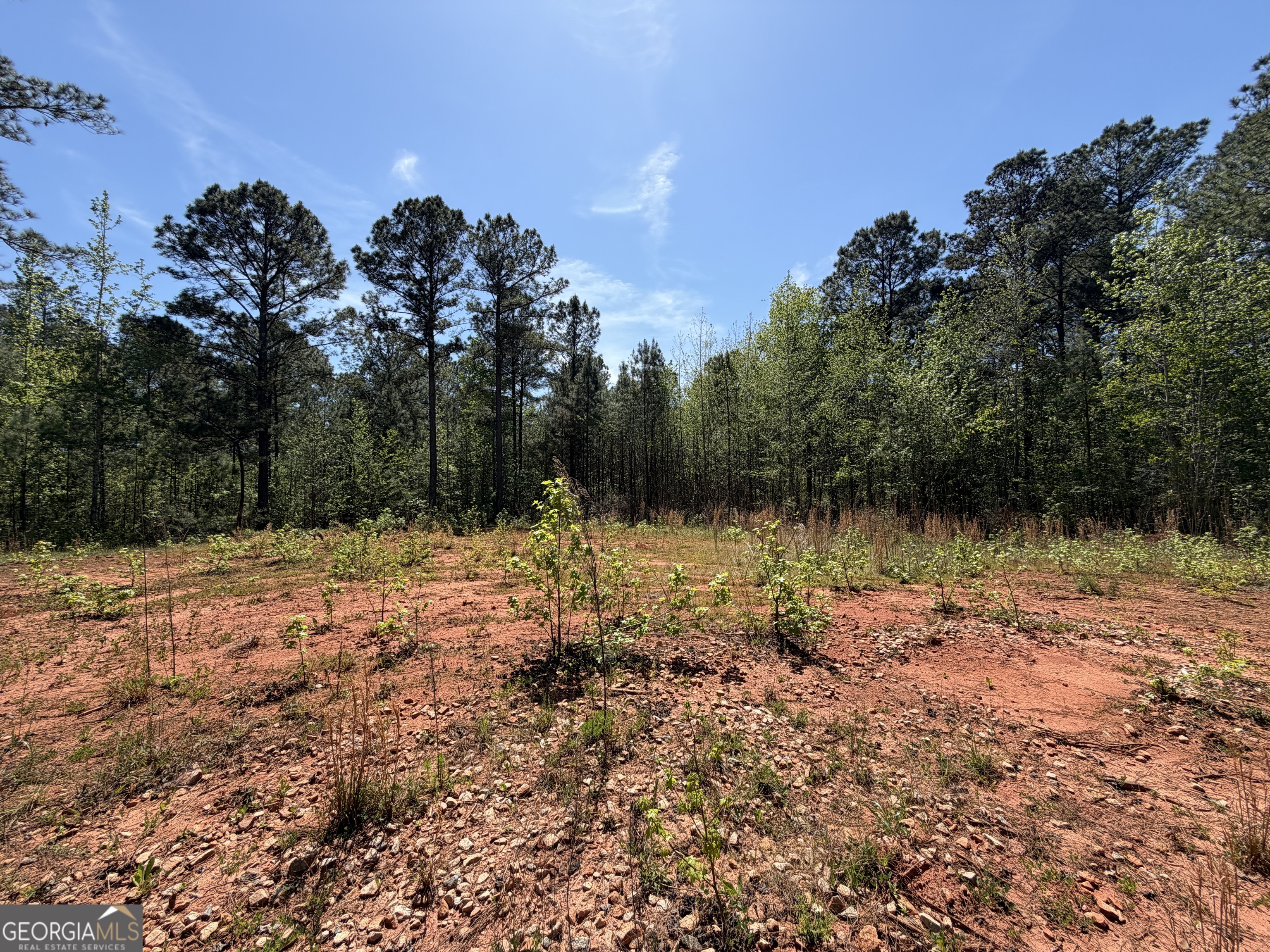 19.74 Acres Davis Lake Road Pine Mountain GA 31822