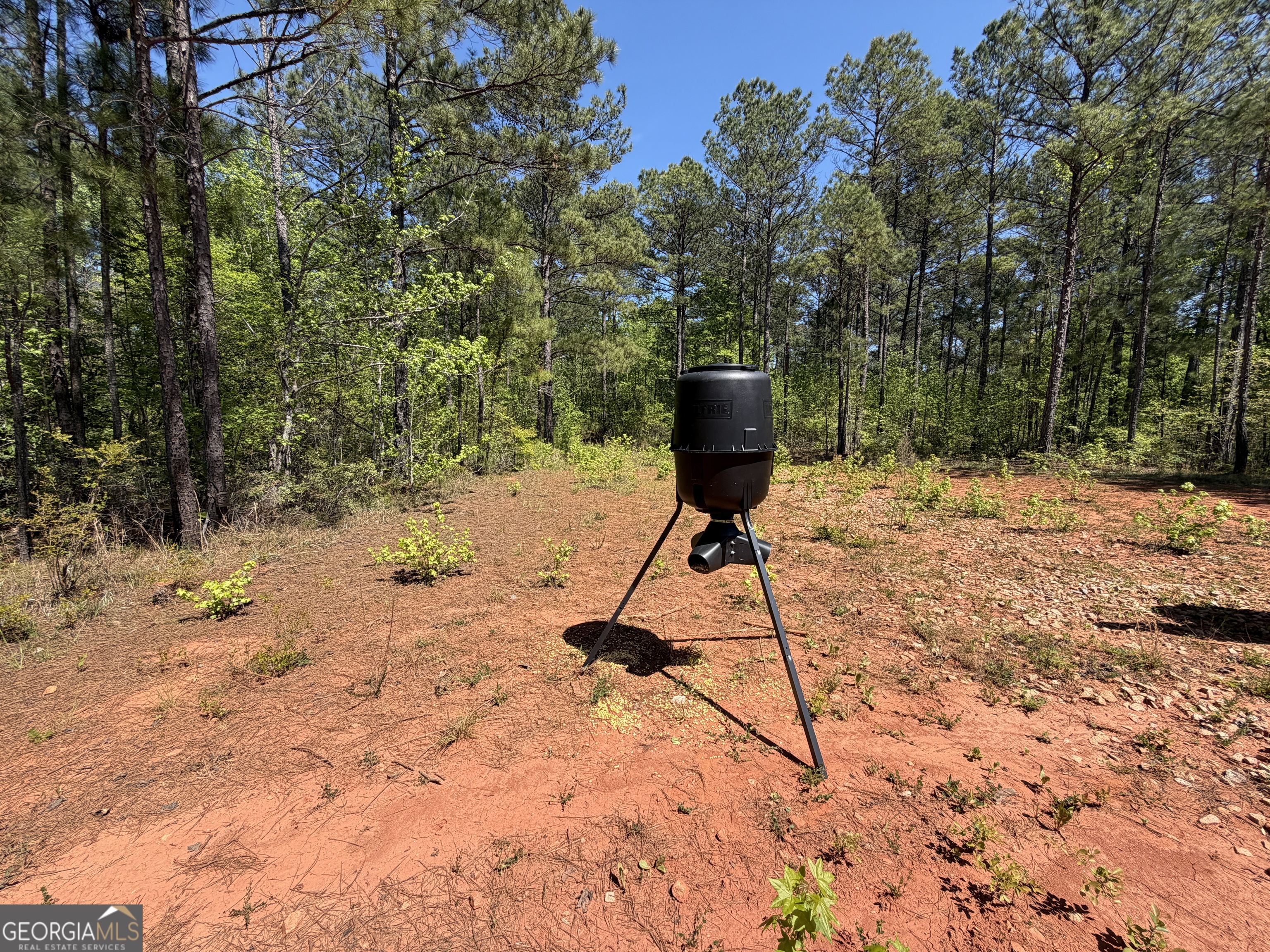 19.74 Acres Davis Lake Road Pine Mountain GA 31822