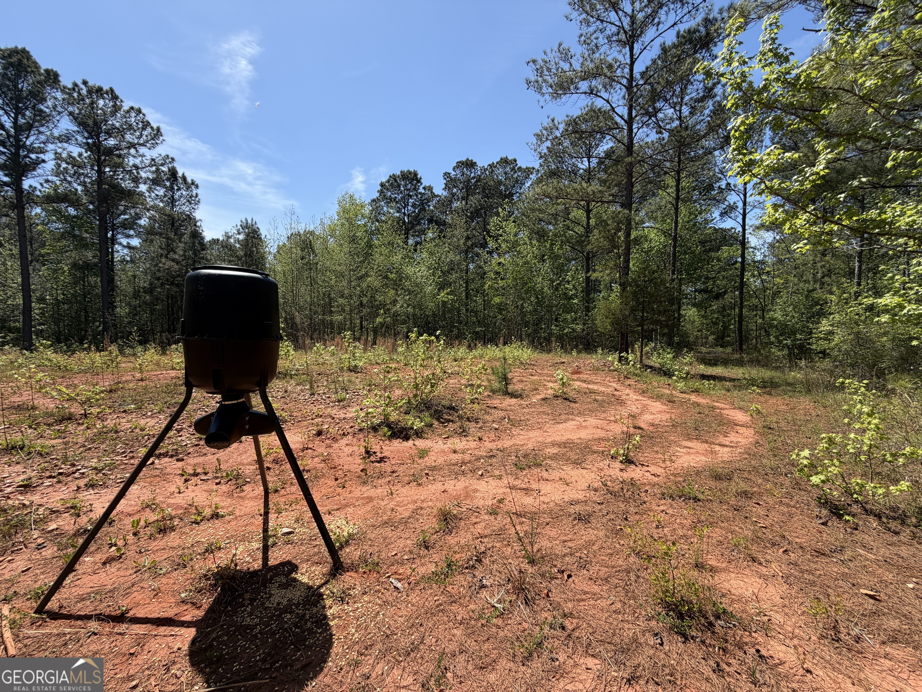 19.74 Acres Davis Lake Road Pine Mountain GA 31822