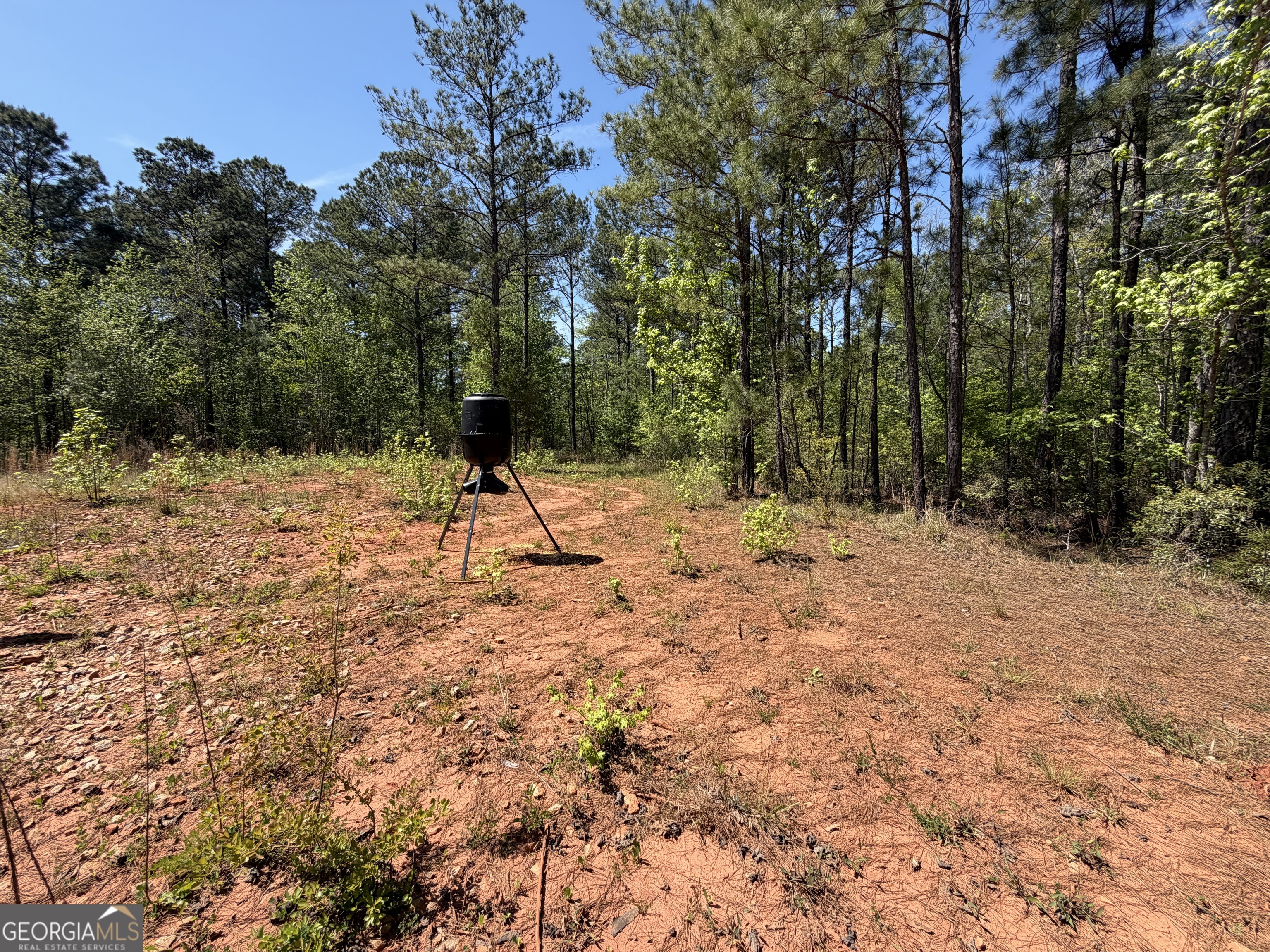 19.74 Acres Davis Lake Road Pine Mountain GA 31822