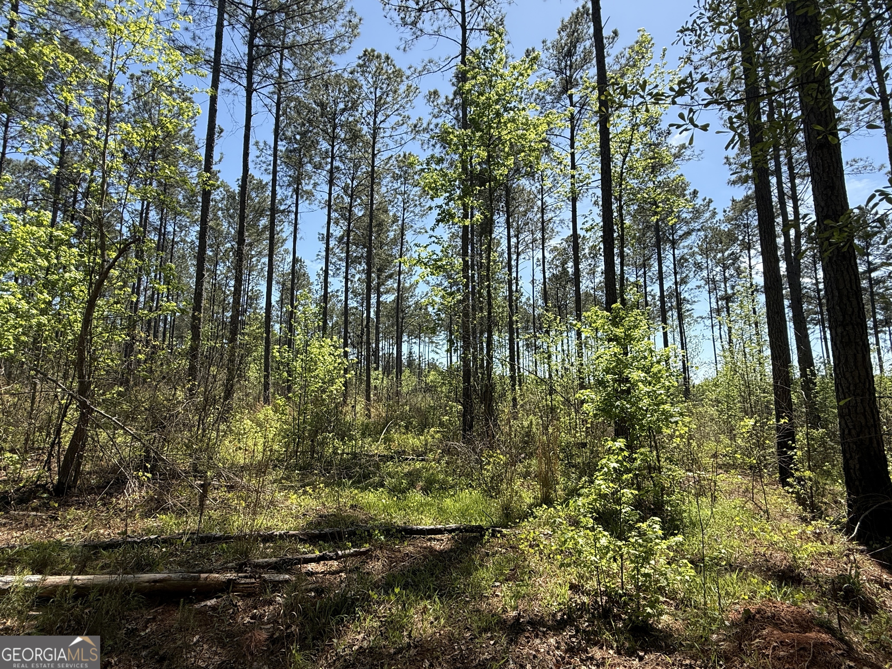 19.74 Acres Davis Lake Road Pine Mountain GA 31822