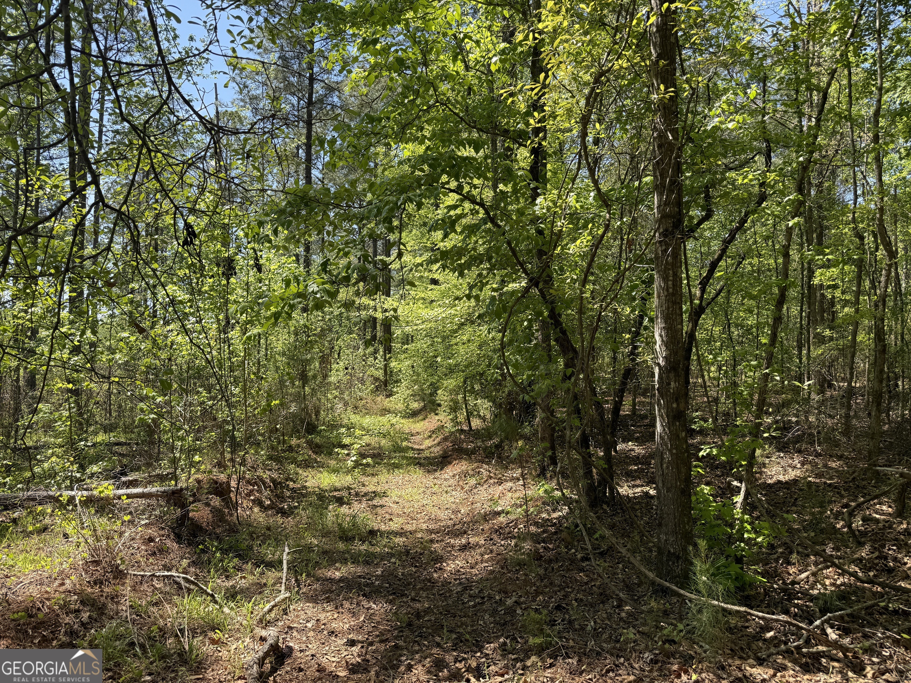 19.74 Acres Davis Lake Road Pine Mountain GA 31822