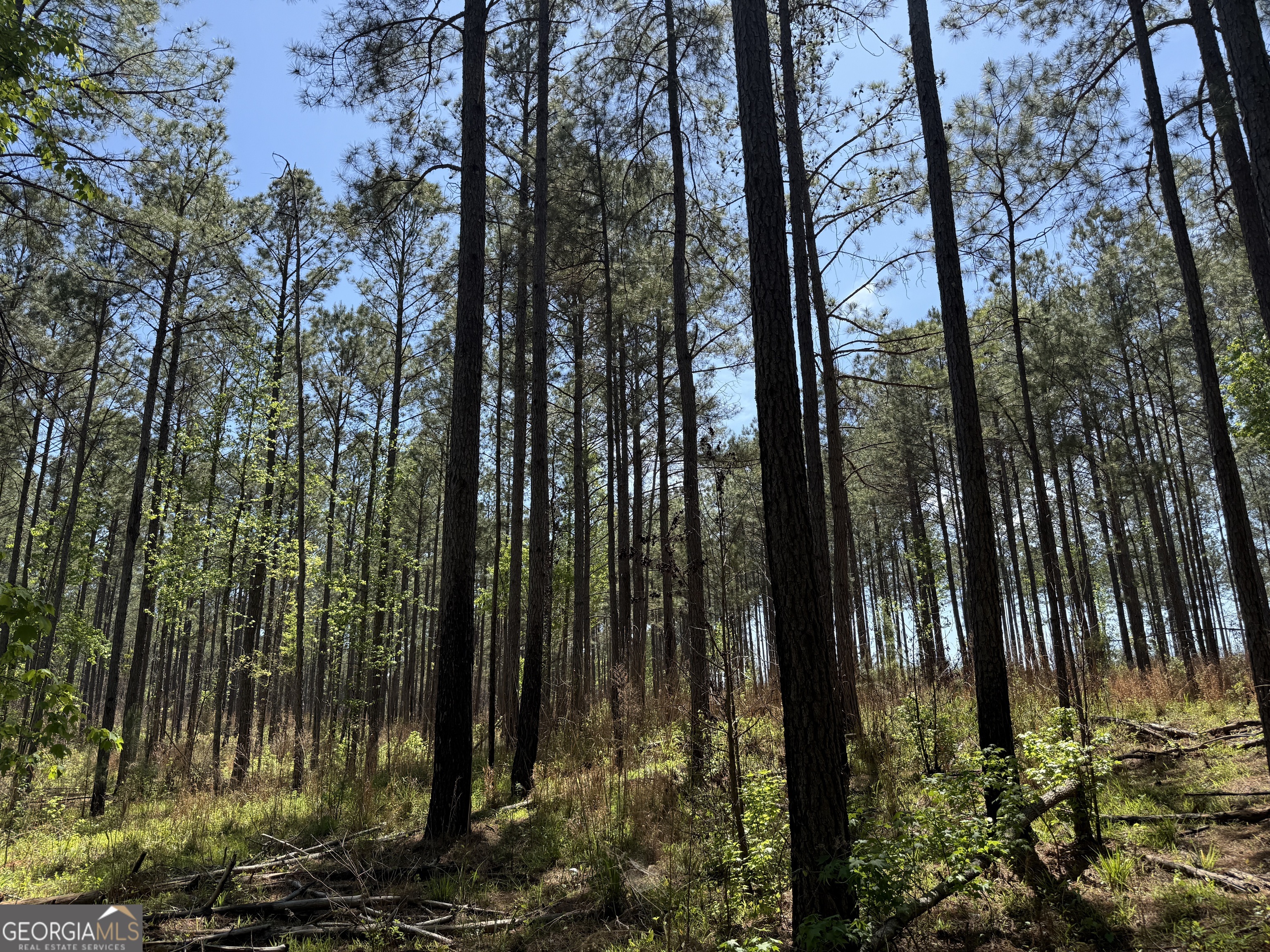 19.74 Acres Davis Lake Road Pine Mountain GA 31822