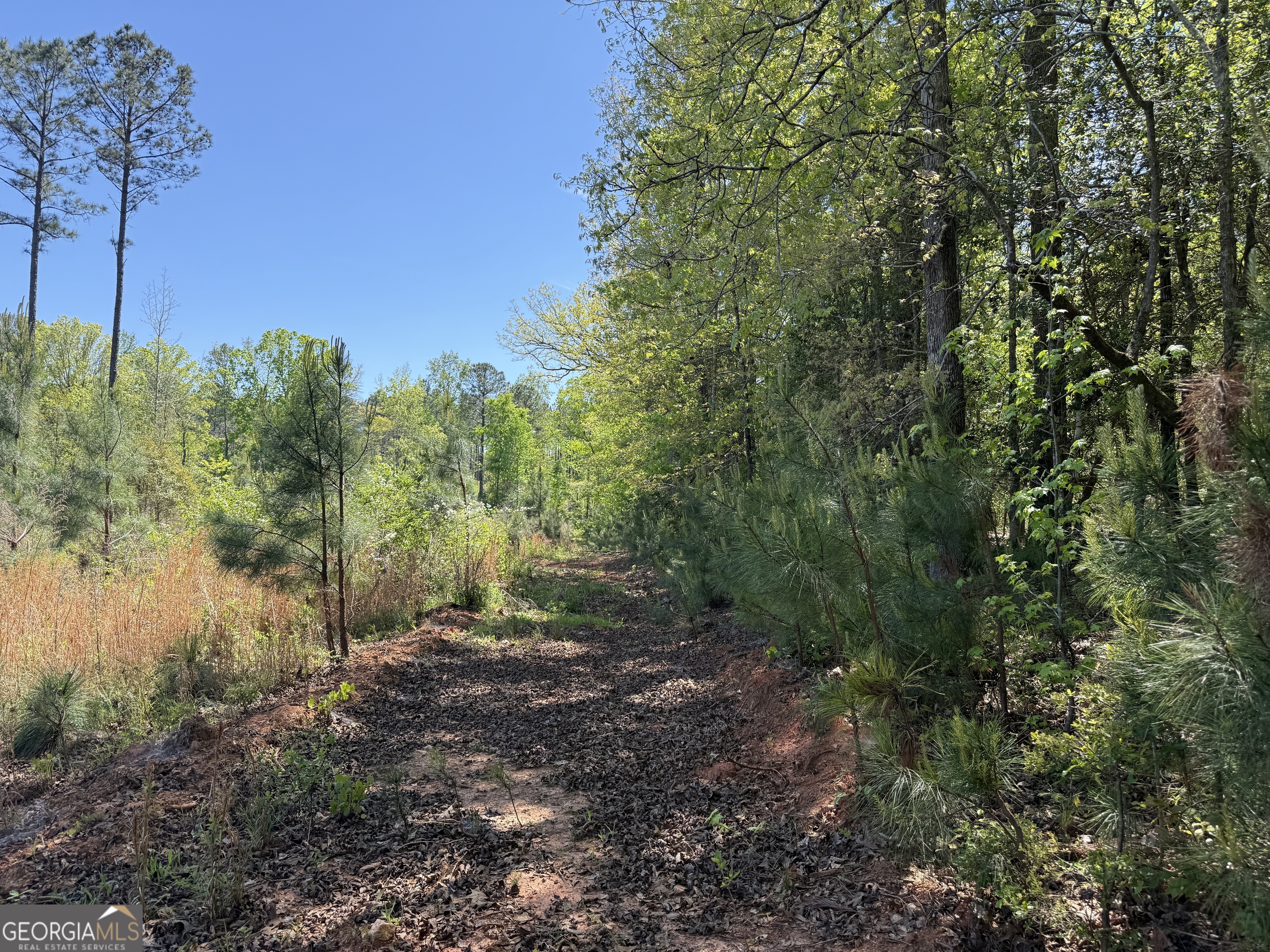 19.74 Acres Davis Lake Road Pine Mountain GA 31822