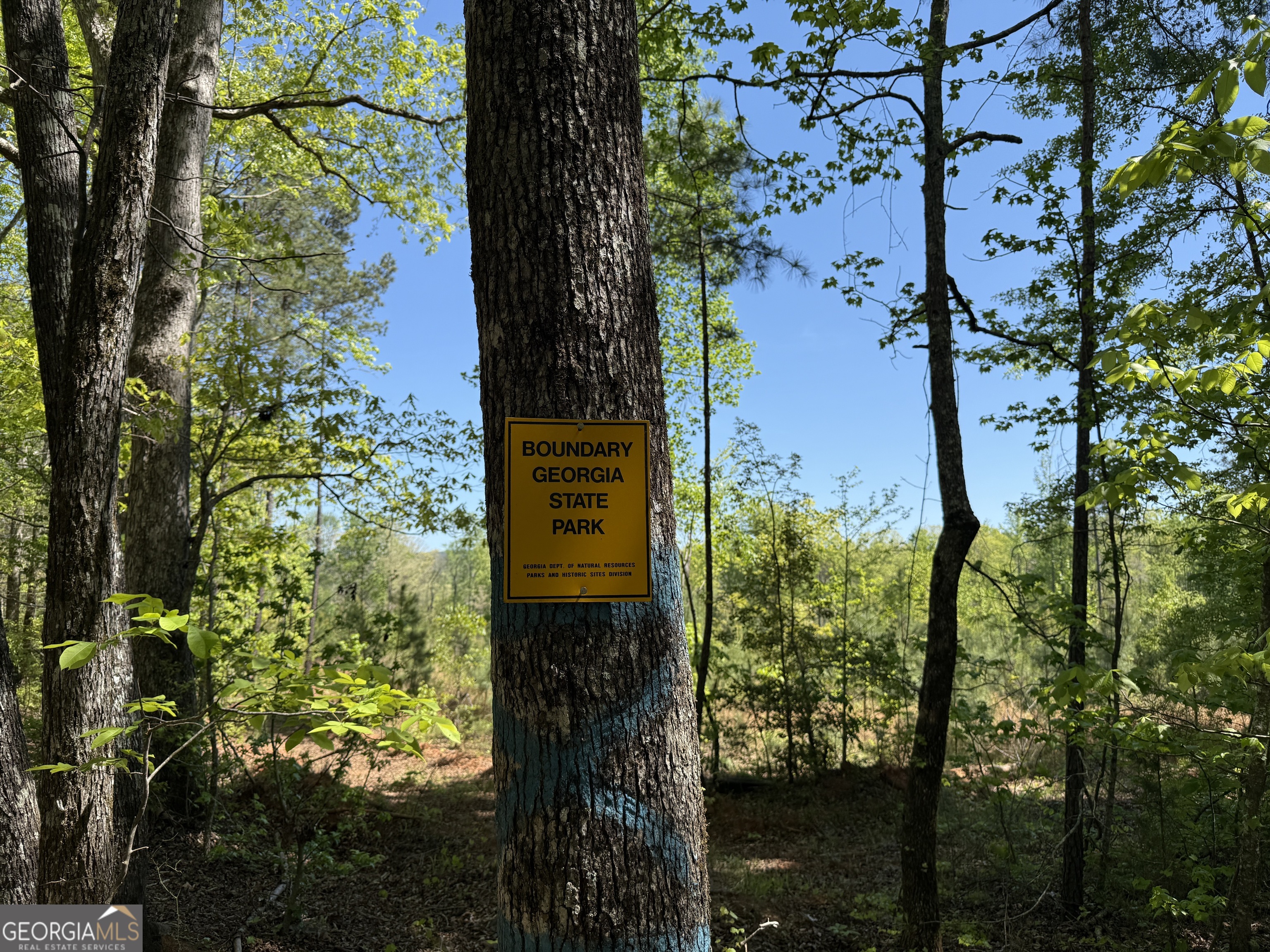 19.74 Acres Davis Lake Road Pine Mountain GA 31822