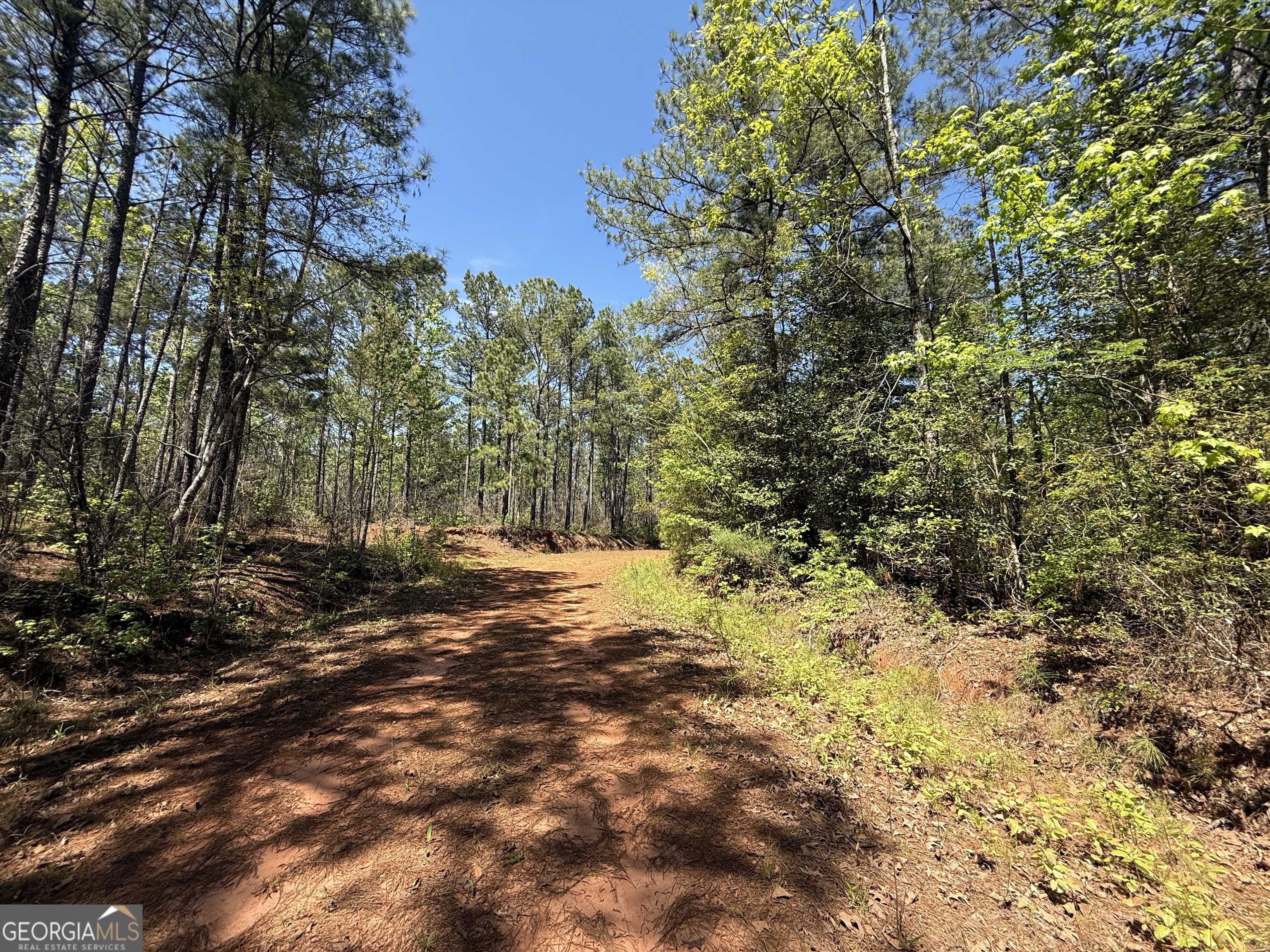 19.74 Acres Davis Lake Road Pine Mountain GA 31822