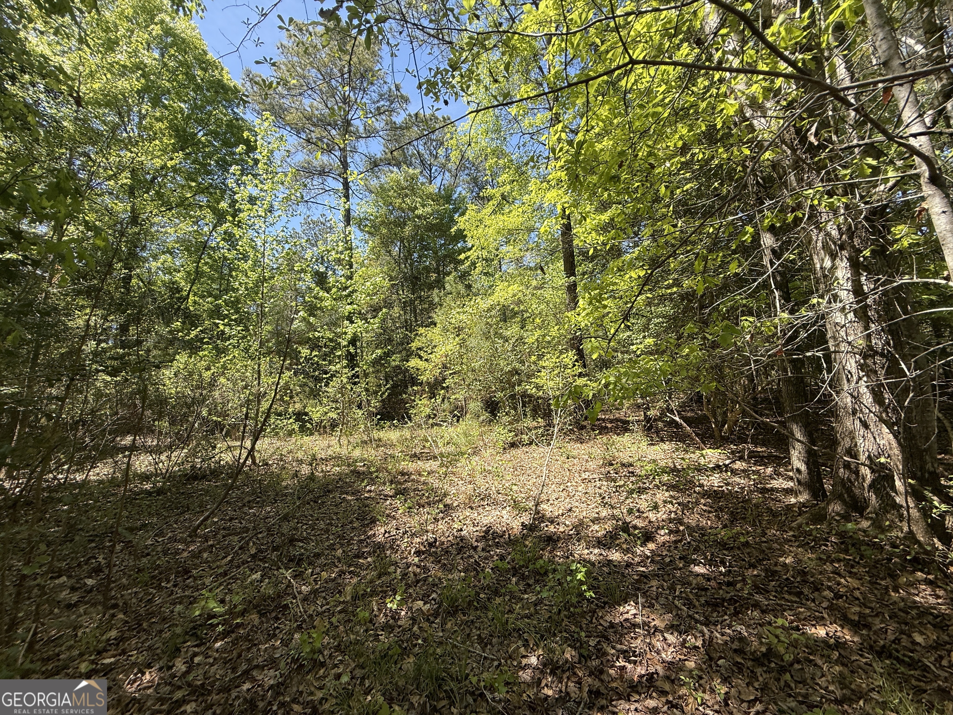19.74 Acres Davis Lake Road Pine Mountain GA 31822