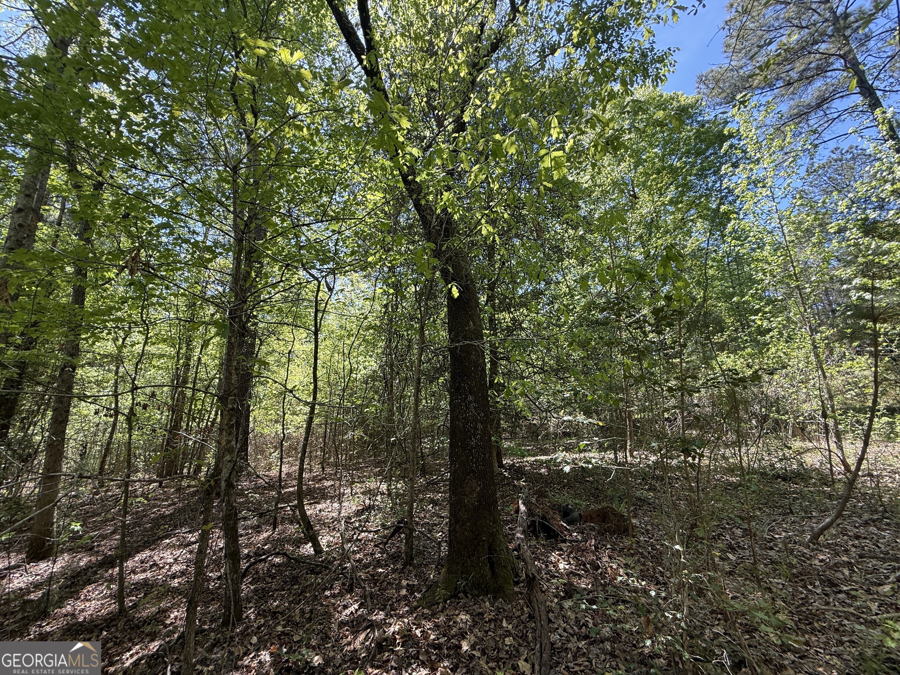 19.74 Acres Davis Lake Road Pine Mountain GA 31822