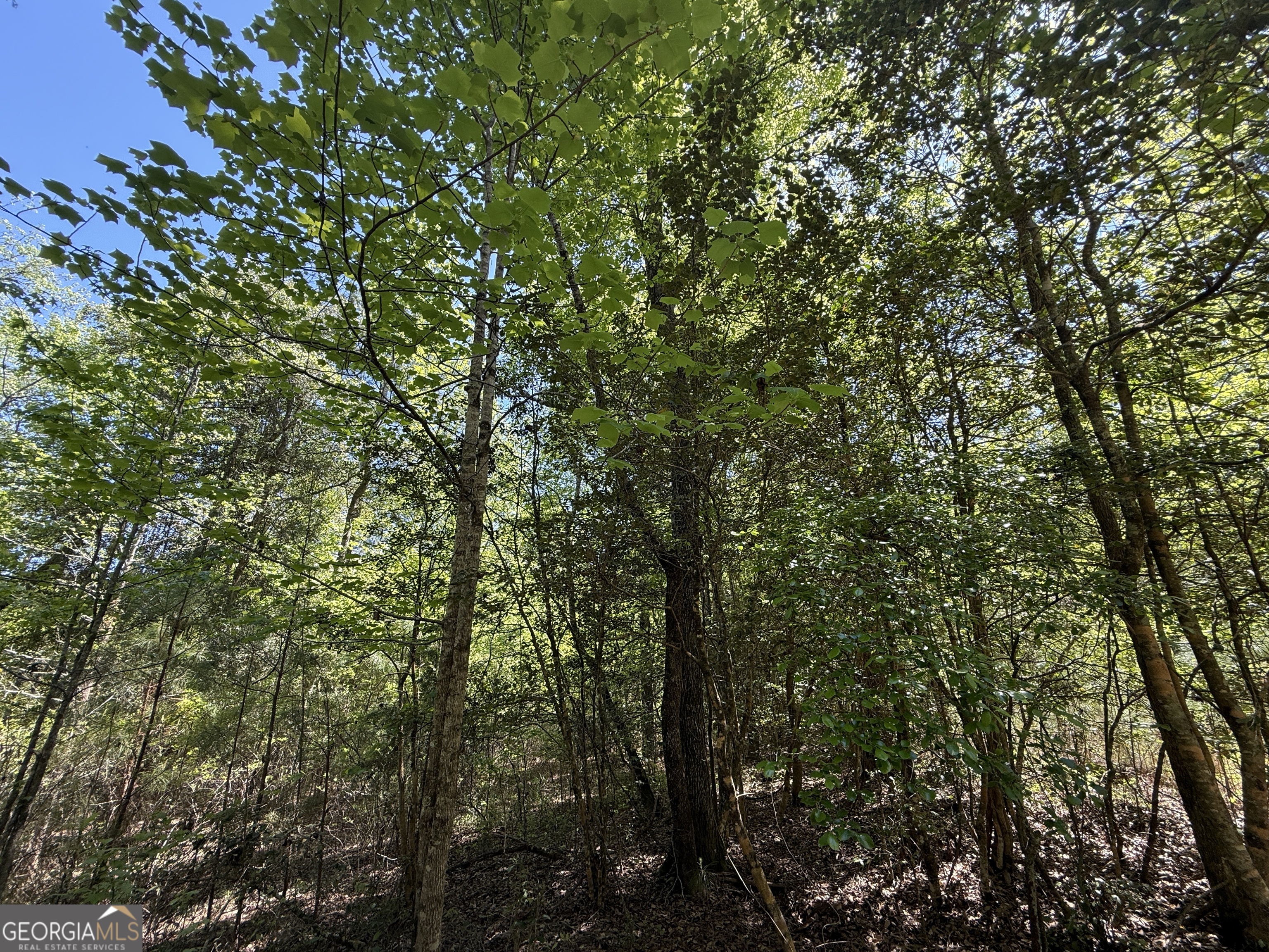 19.74 Acres Davis Lake Road Pine Mountain GA 31822