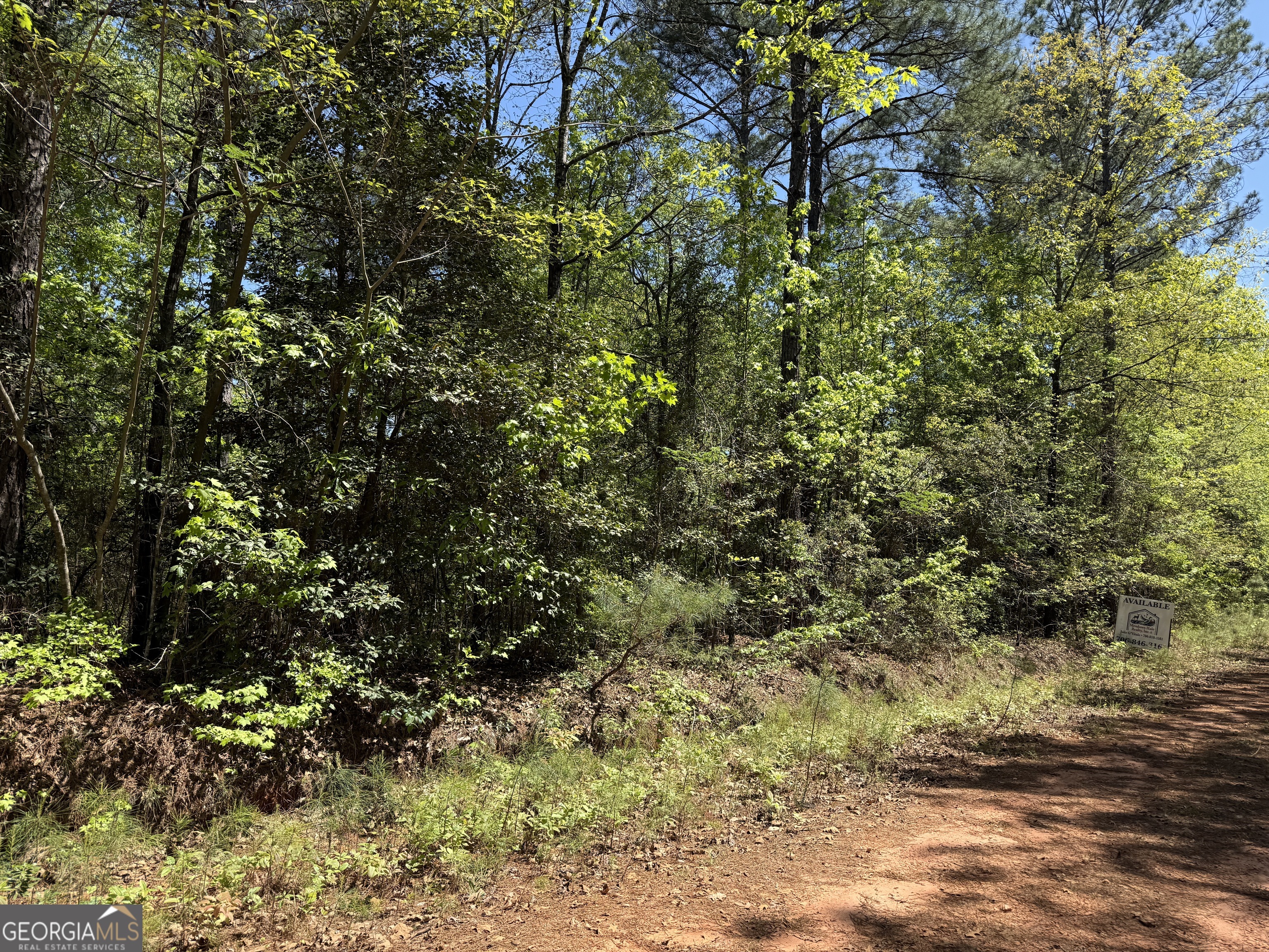 19.74 Acres Davis Lake Road Pine Mountain GA 31822