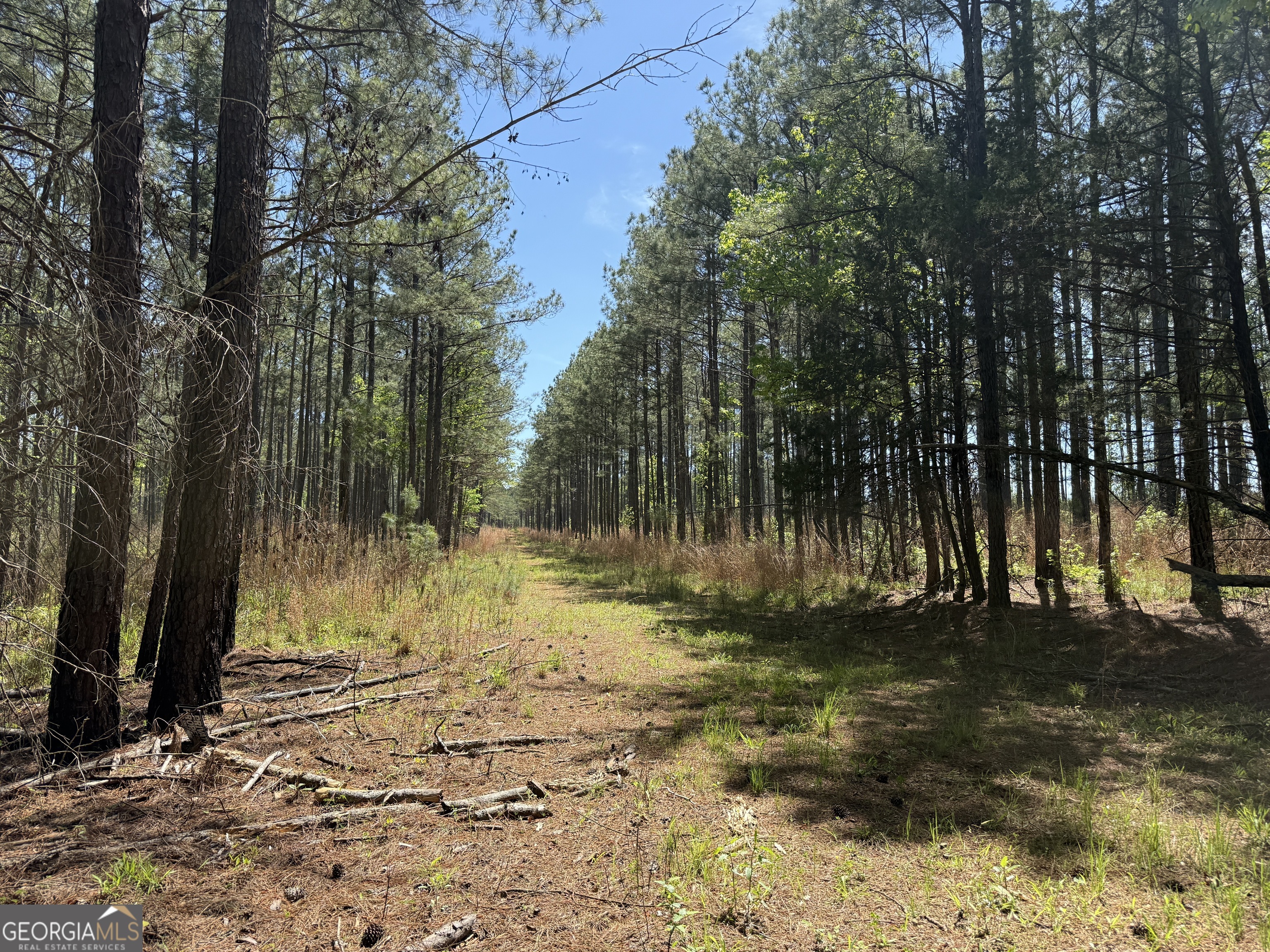 19.74 Acres Davis Lake Road Pine Mountain GA 31822