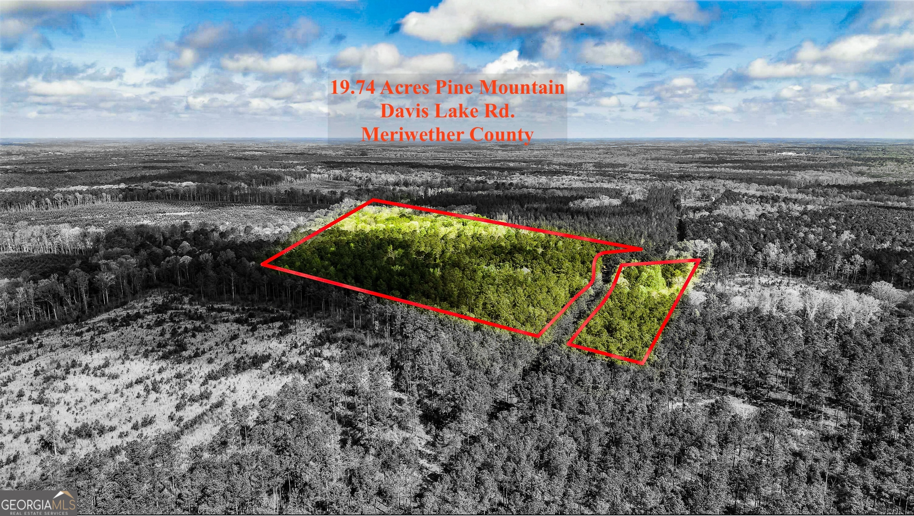 19.74 Acres Davis Lake Road Pine Mountain GA 31822