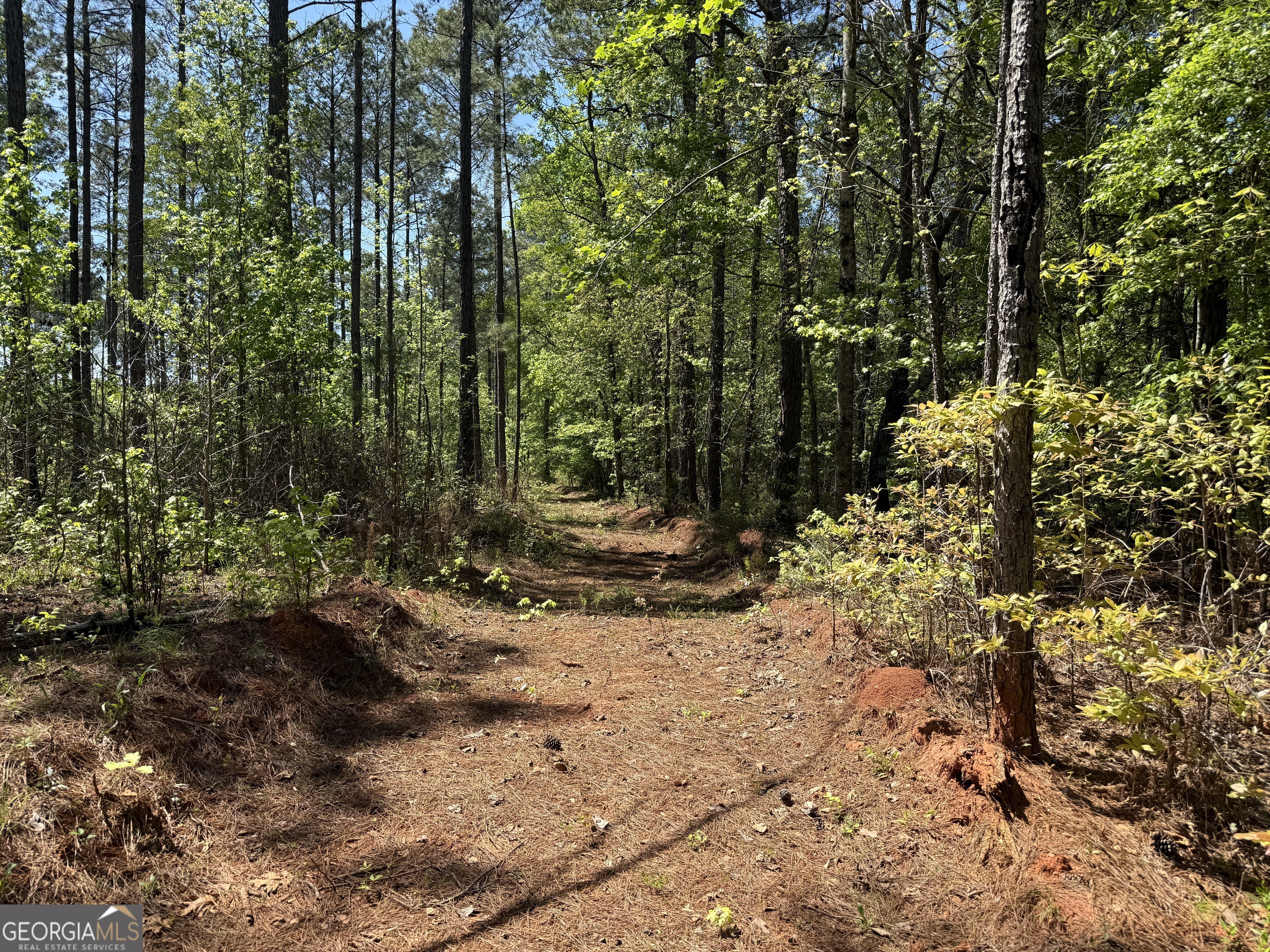 19.74 Acres Davis Lake Road Pine Mountain GA 31822