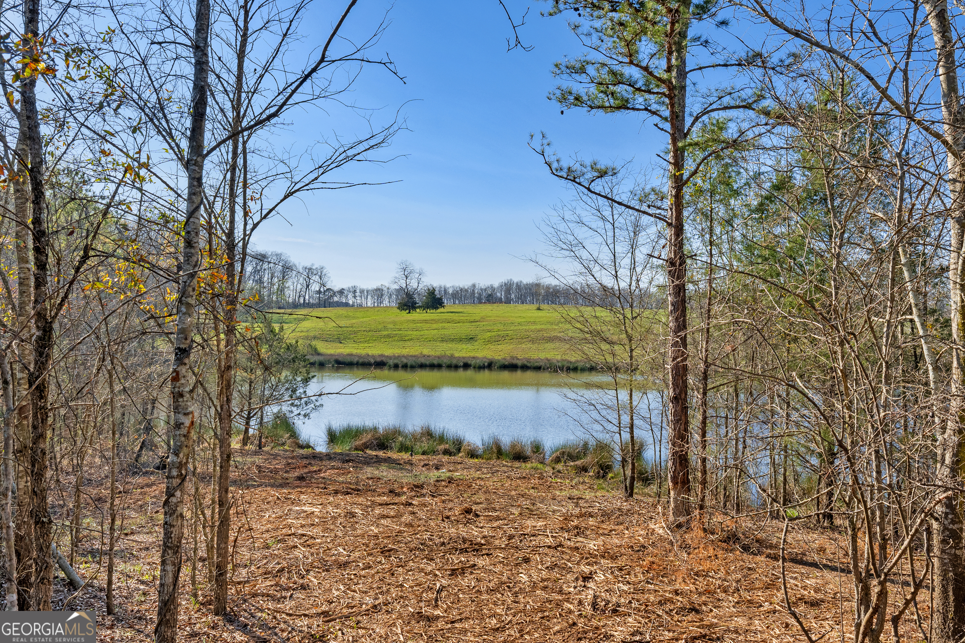 10 Legacy View Hartwell GA 30643