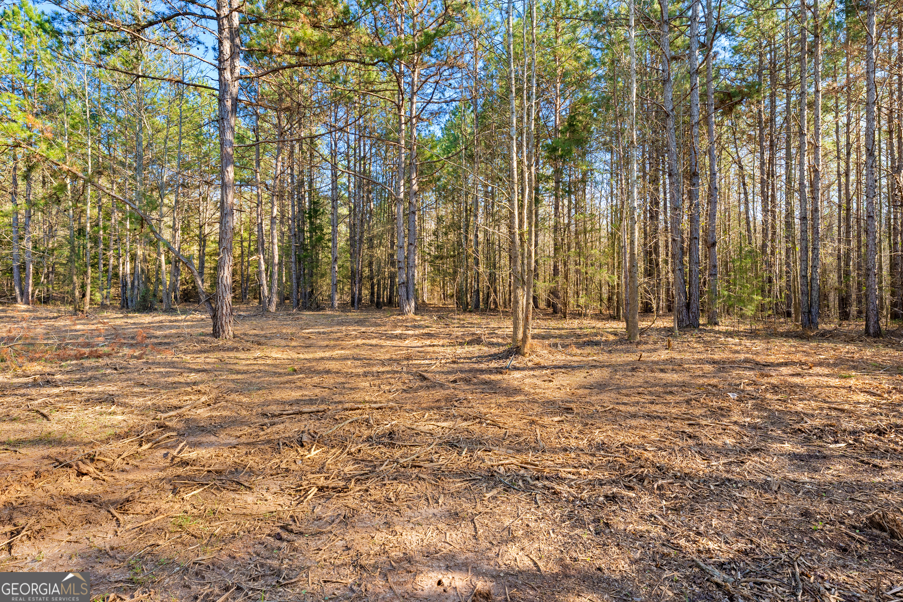 10 Legacy View Hartwell GA 30643