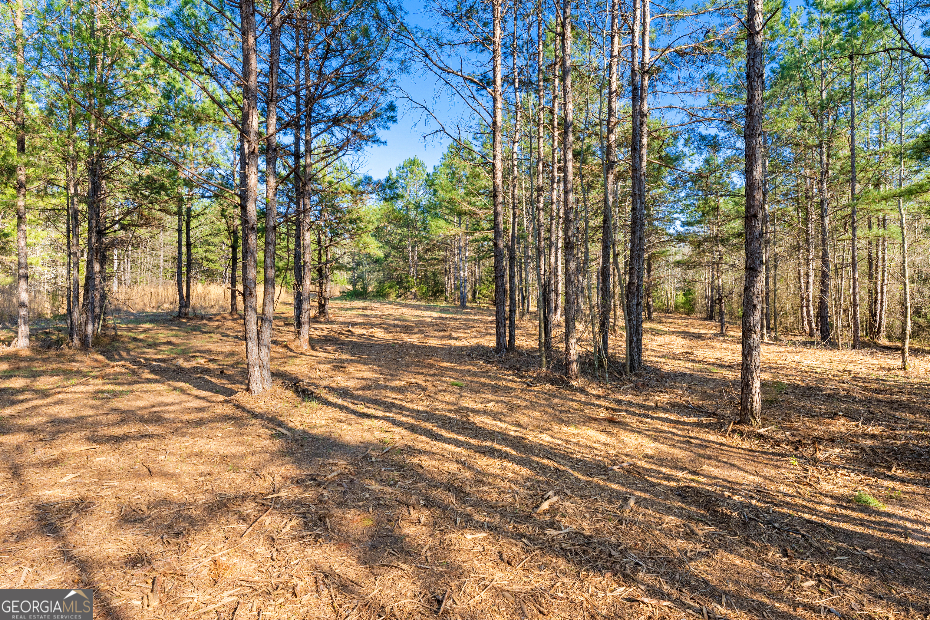 10 Legacy View Hartwell GA 30643