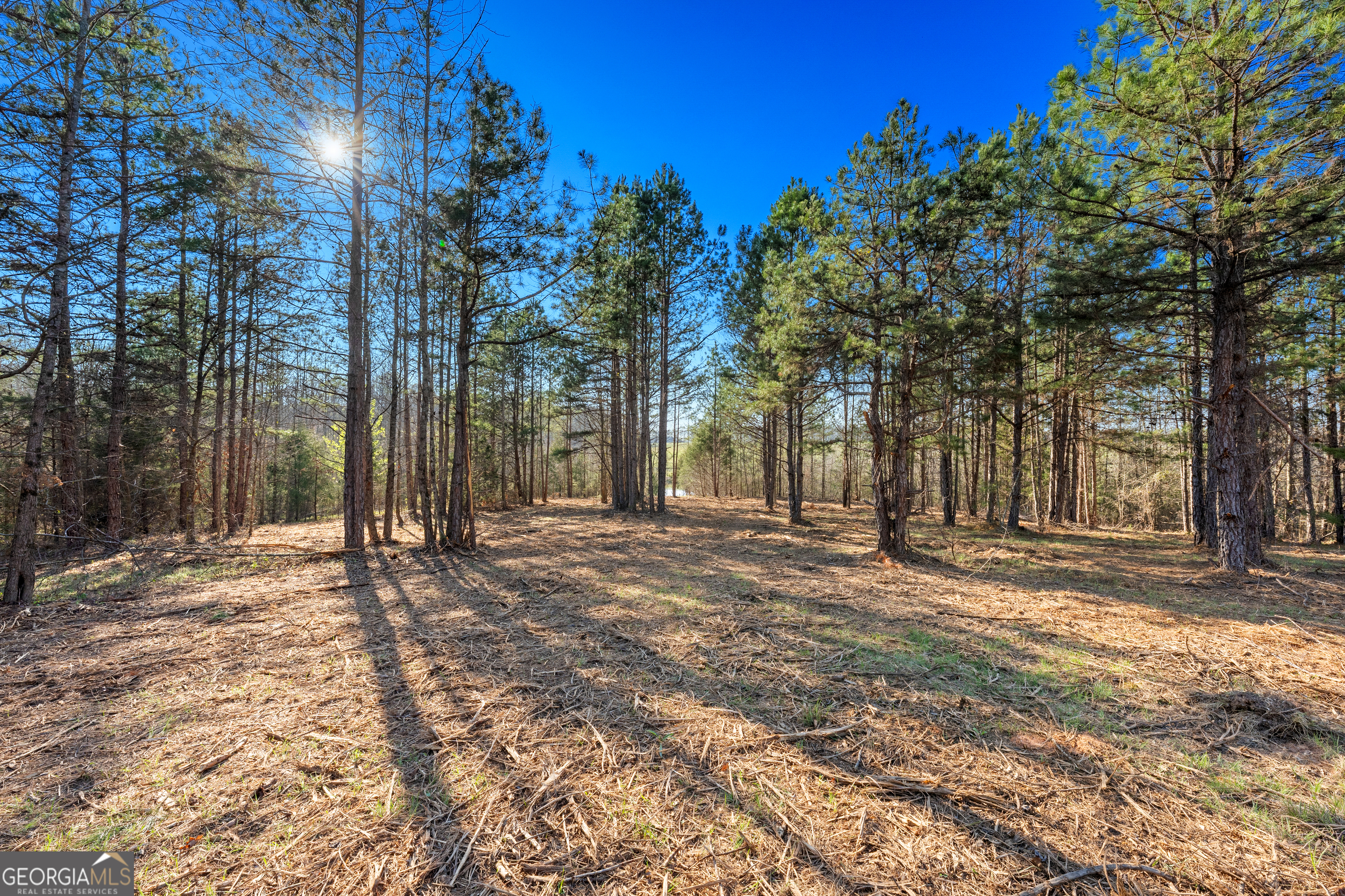 10 Legacy View Hartwell GA 30643