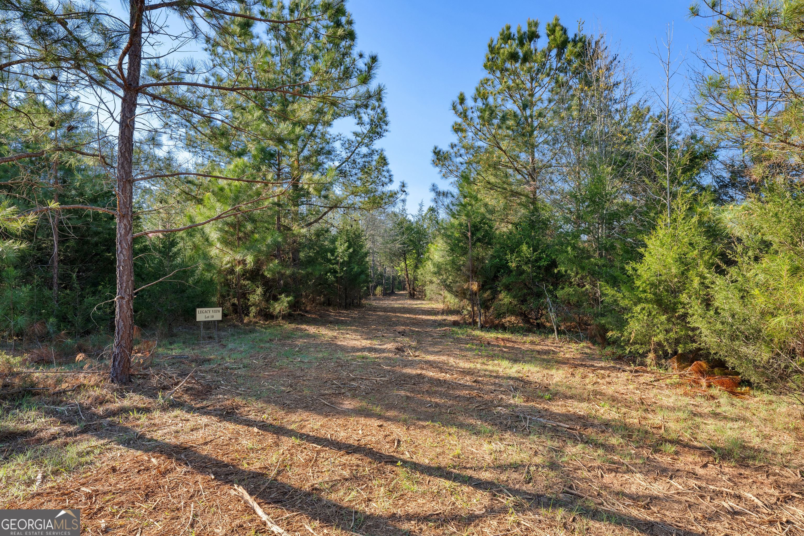 10 Legacy View Hartwell GA 30643
