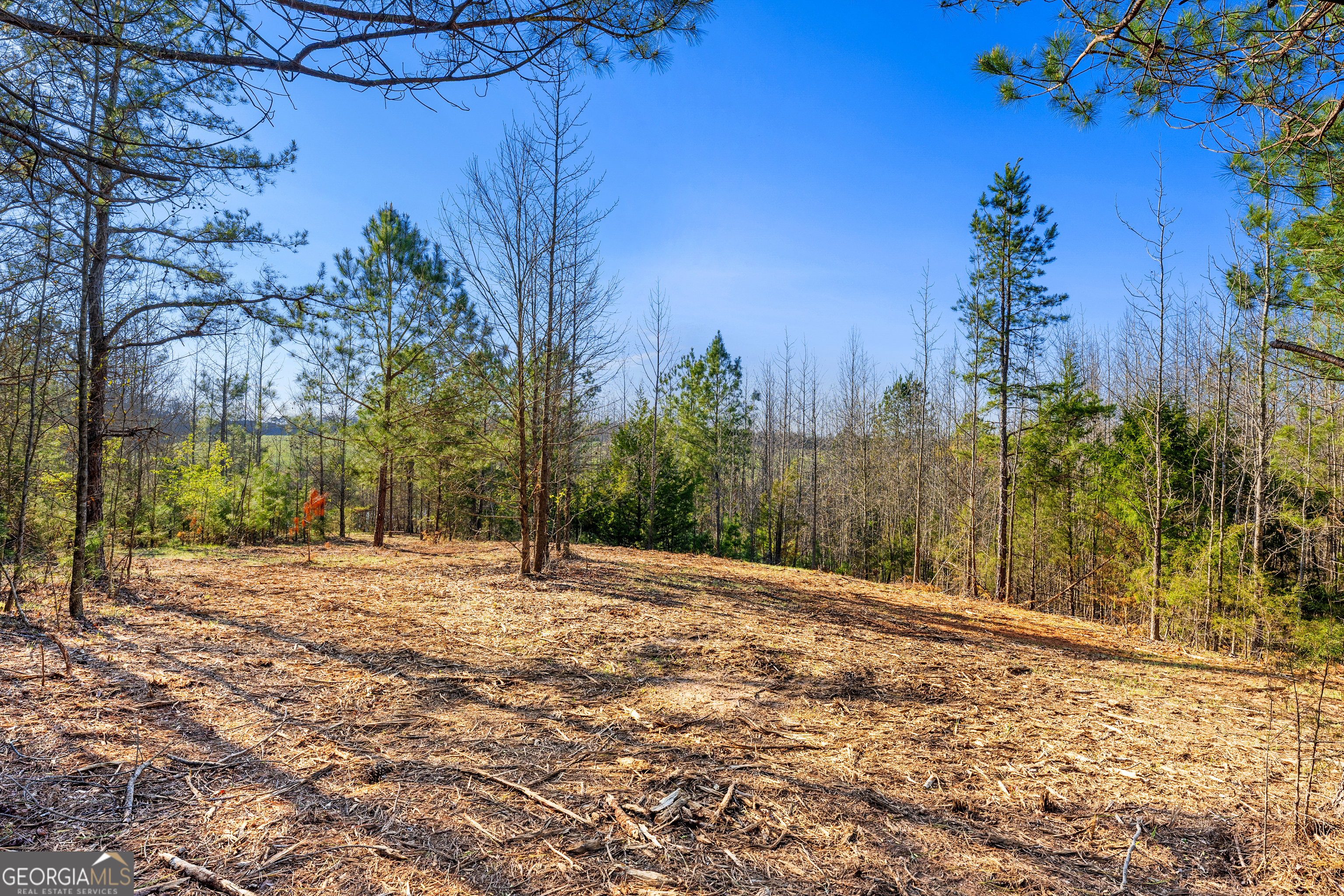 10 Legacy View Hartwell GA 30643