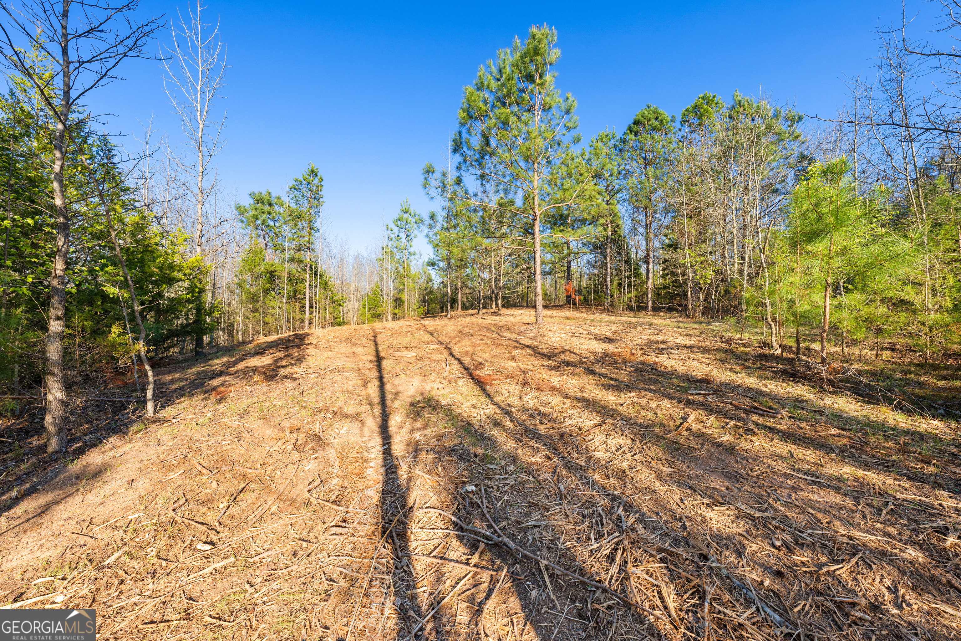 10 Legacy View Hartwell GA 30643