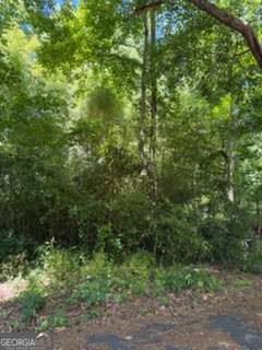 0 Windsor Way Newnan GA 30263