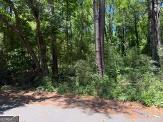 0 Windsor Way Newnan GA 30263