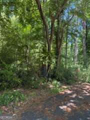 0 Windsor Way Newnan GA 30263