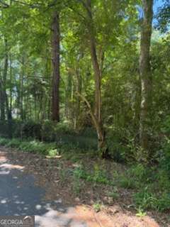 0 Windsor Way Newnan GA 30263