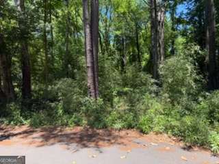 0 Windsor Way Newnan GA 30263