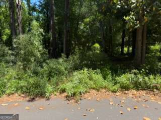 0 Windsor Way Newnan GA 30263