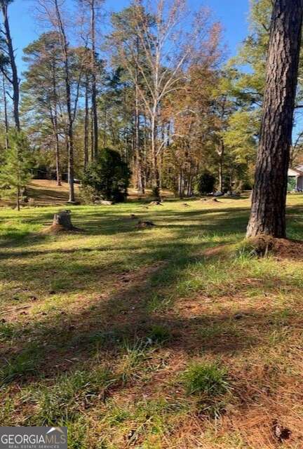 0 Woodland Court Union Point GA 30669