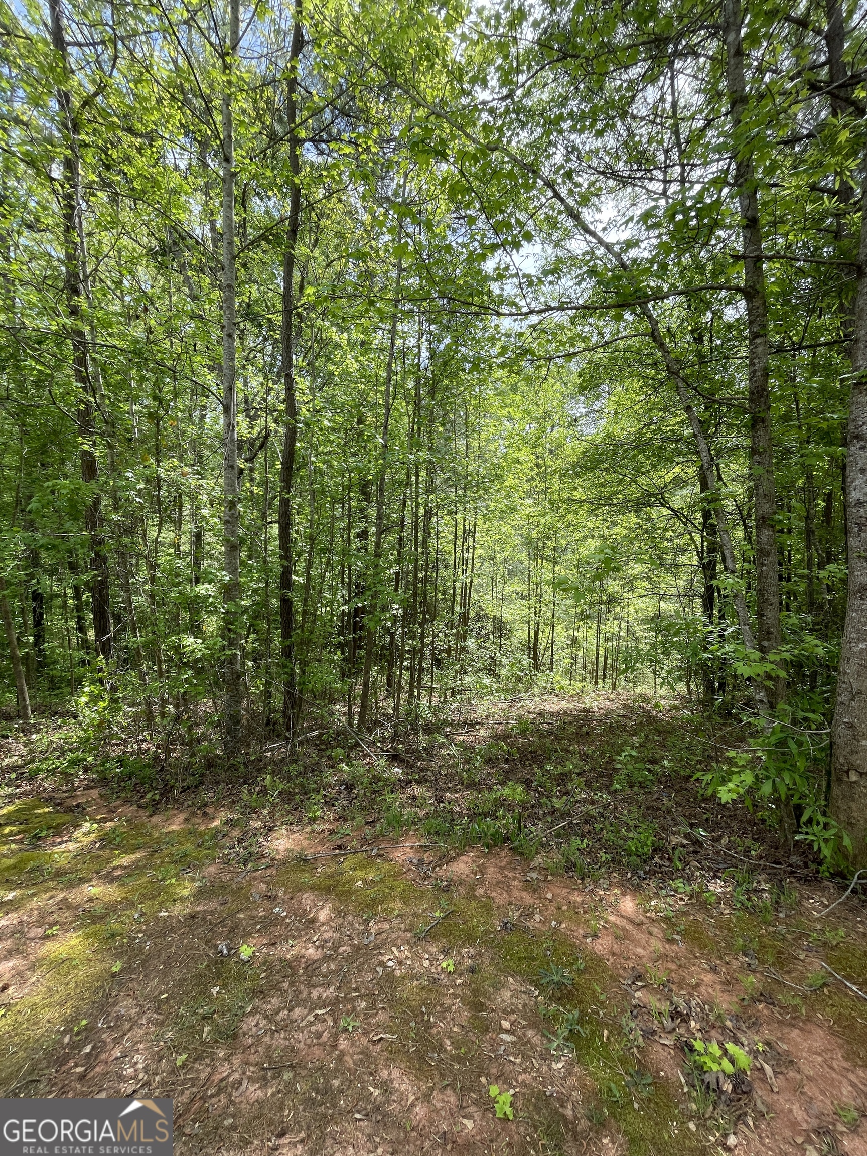 205 White Birch Drive Covington GA 30016