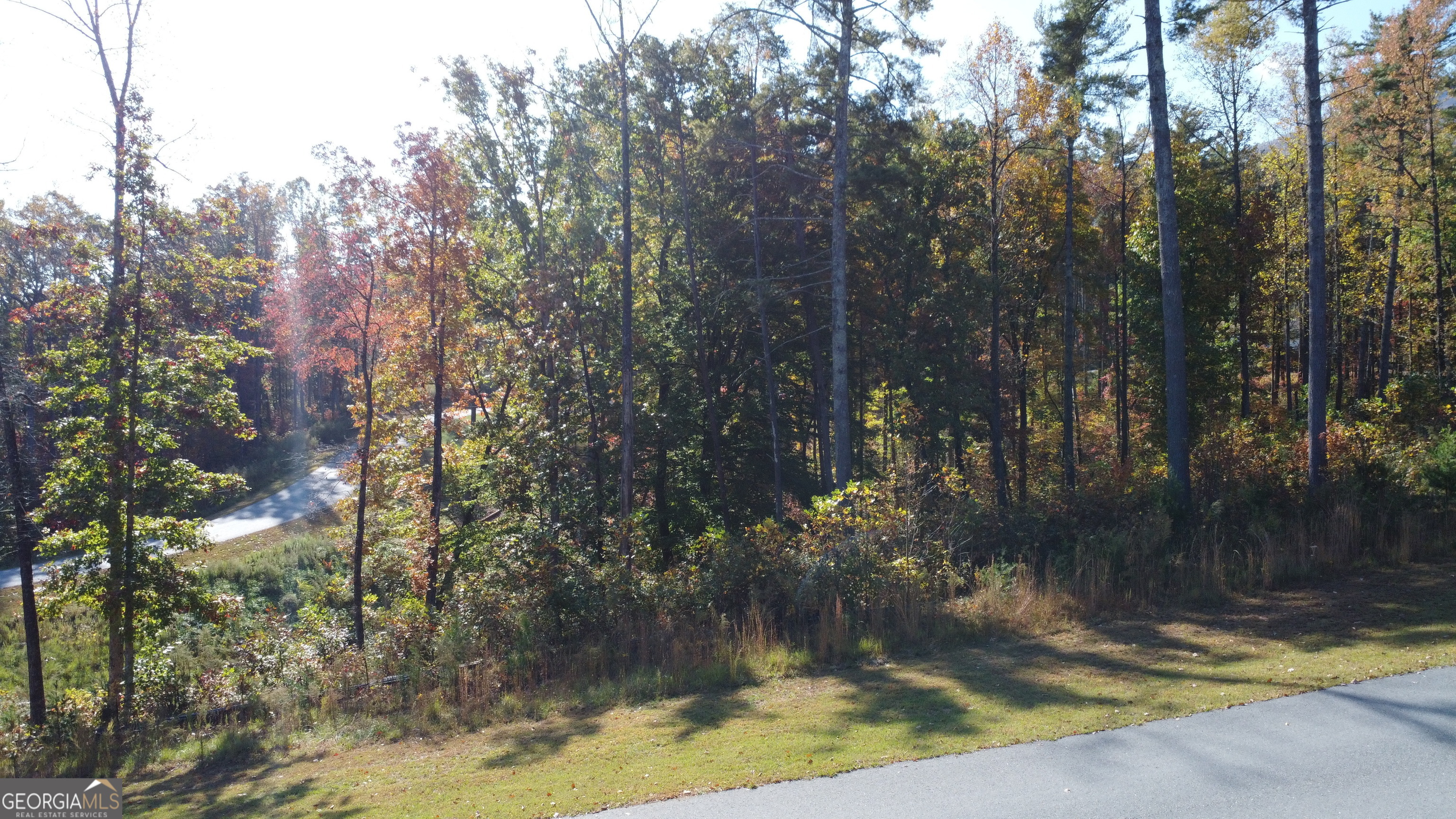 Lot 73 Leisure Mountain Trail Sautee Nacoochee GA 30571