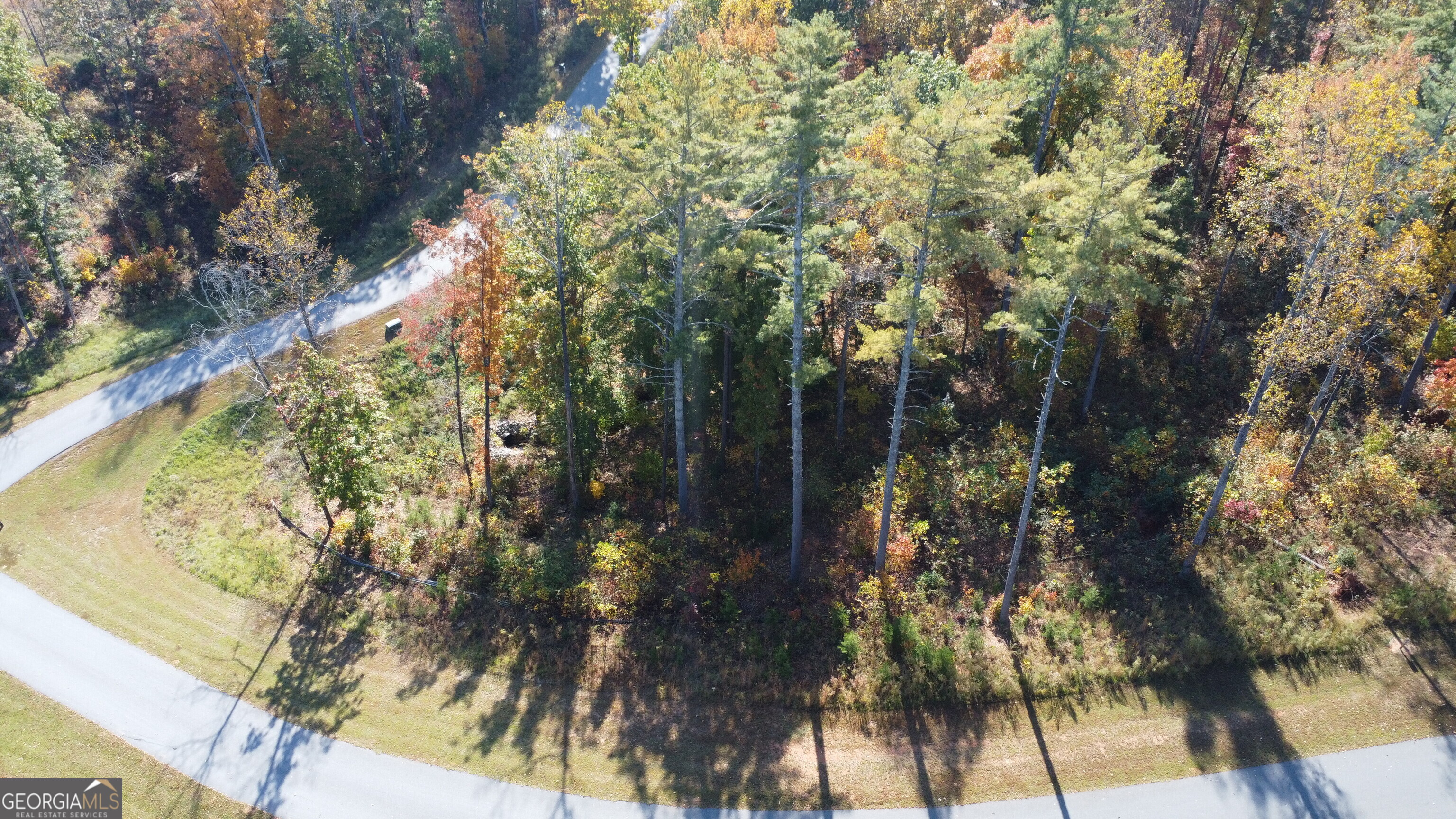 Lot 73 Leisure Mountain Trail Sautee Nacoochee GA 30571