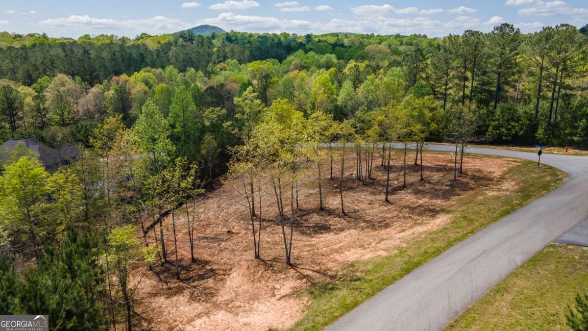 Lot 41 Sandy Lake Lane Blairsville GA 30512