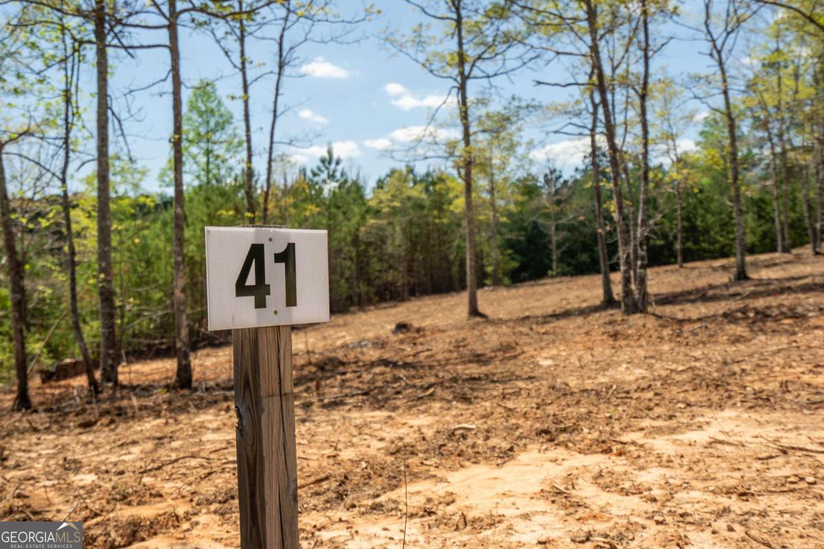 Lot 41 Sandy Lake Lane Blairsville GA 30512
