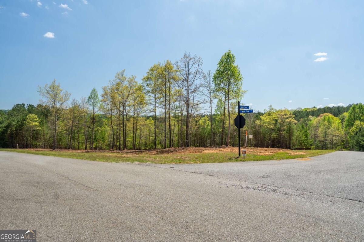 Lot 41 Sandy Lake Lane Blairsville GA 30512