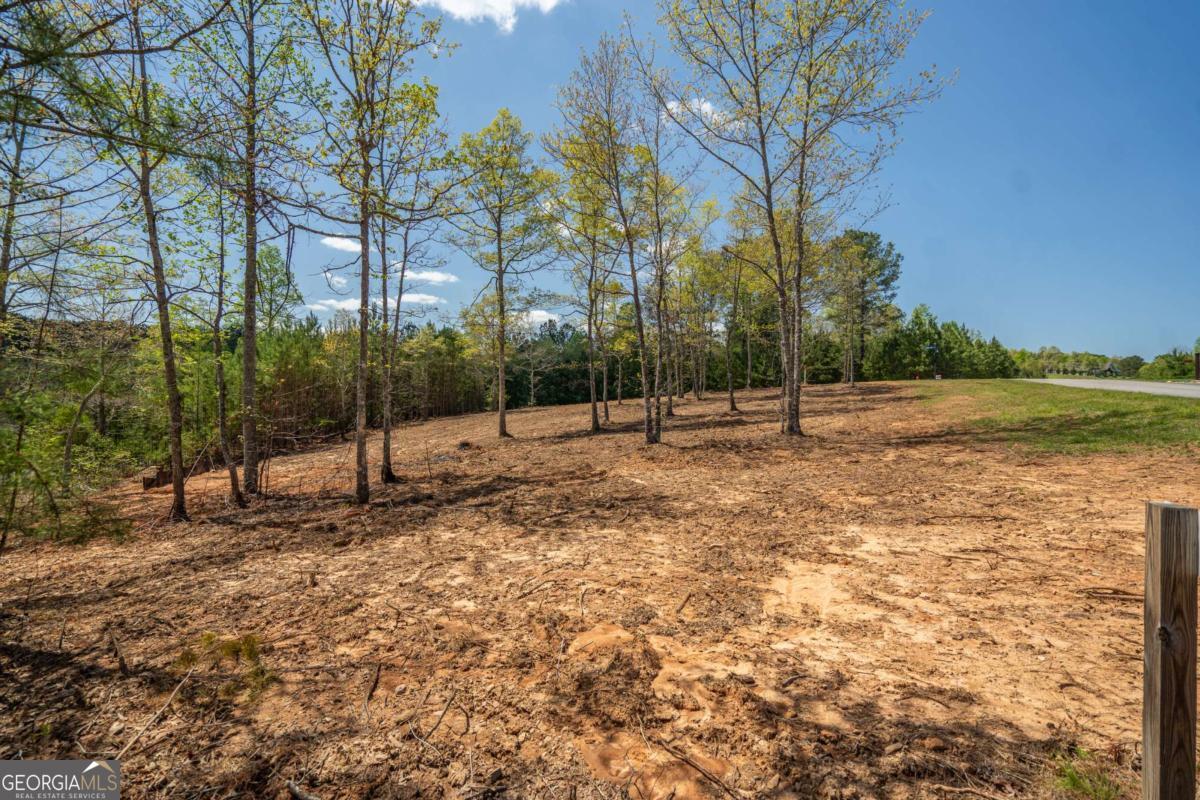 Lot 41 Sandy Lake Lane Blairsville GA 30512