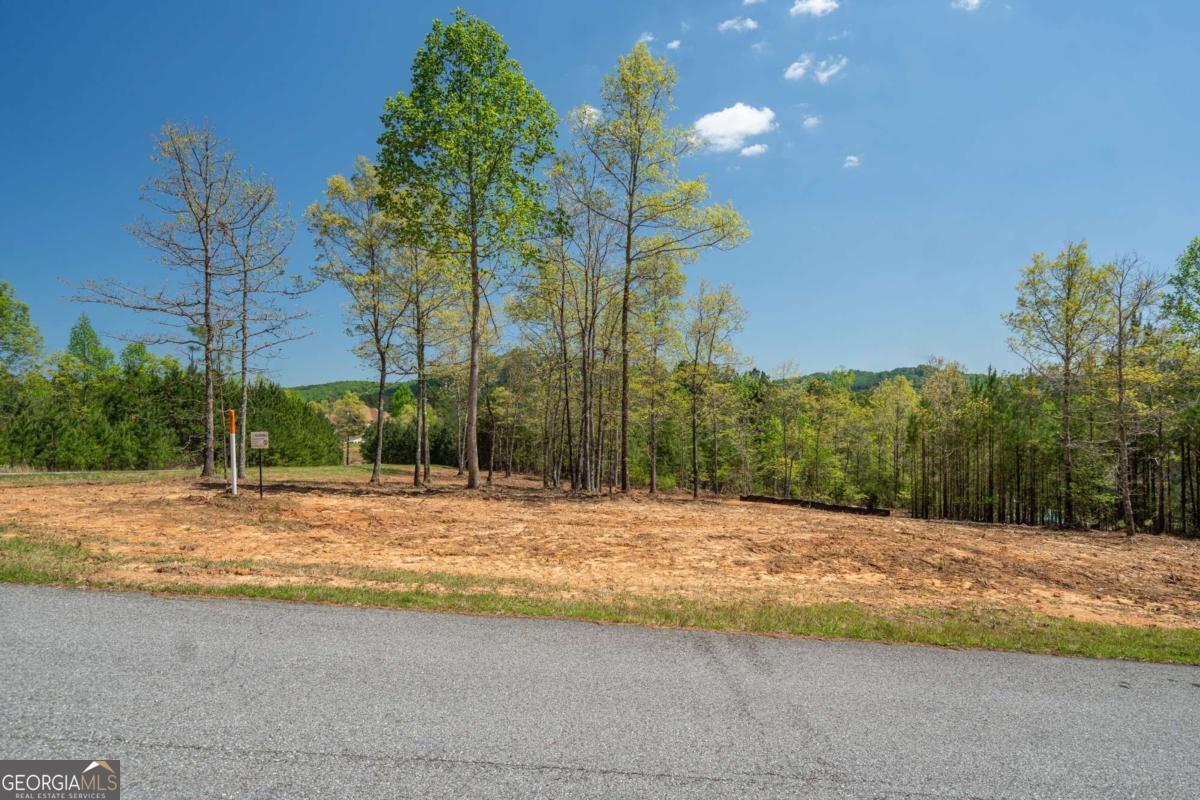 Lot 41 Sandy Lake Lane Blairsville GA 30512