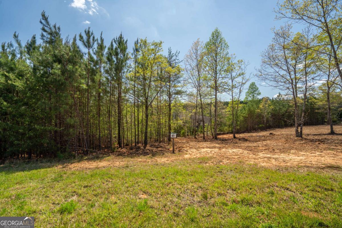 Lot 41 Sandy Lake Lane Blairsville GA 30512
