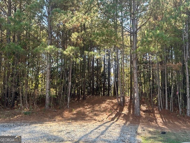 2100 Adel Road Conyers GA 30013
